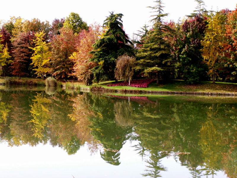 Golf Parque de Nantilly, por Lilou