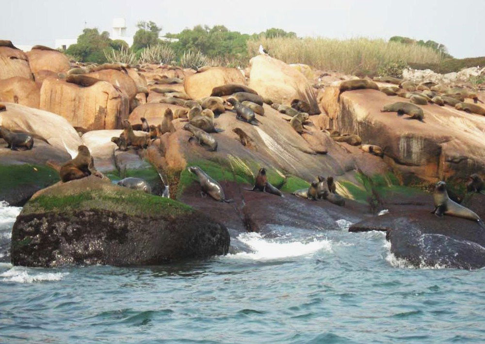 Isla de Lobos, por MELITHA  BLASCO