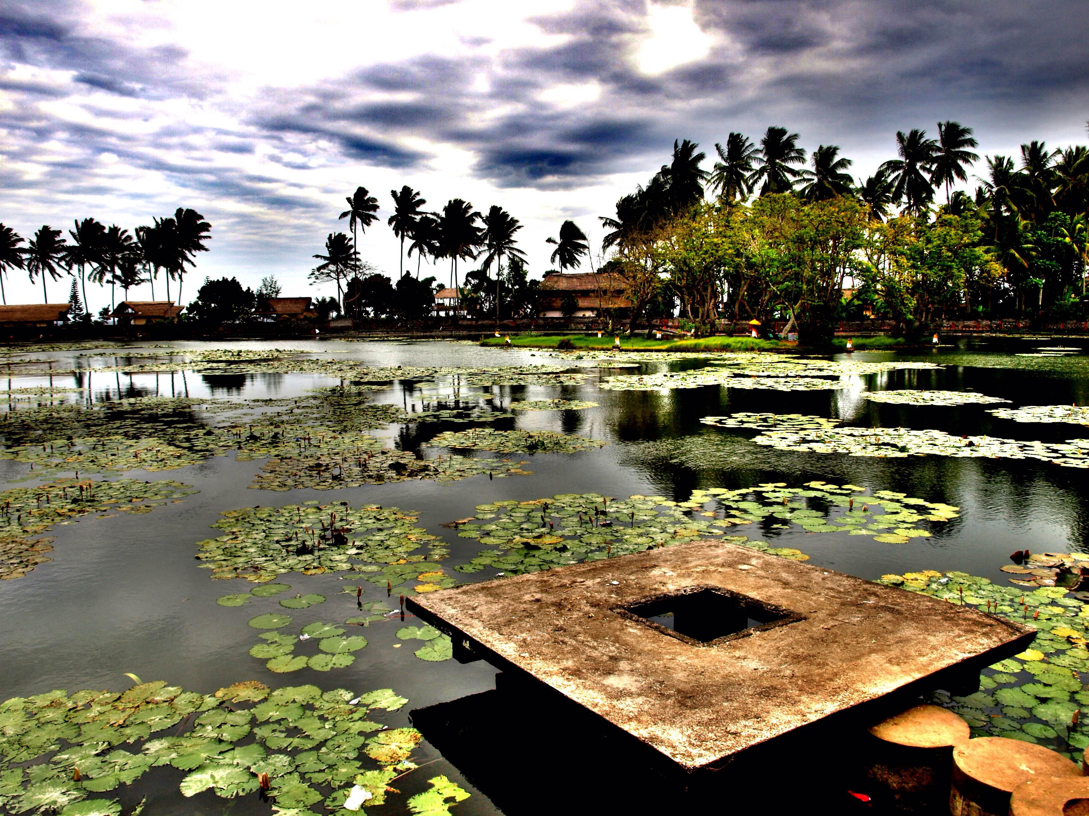 Isla de Bali, por Julian Castillo