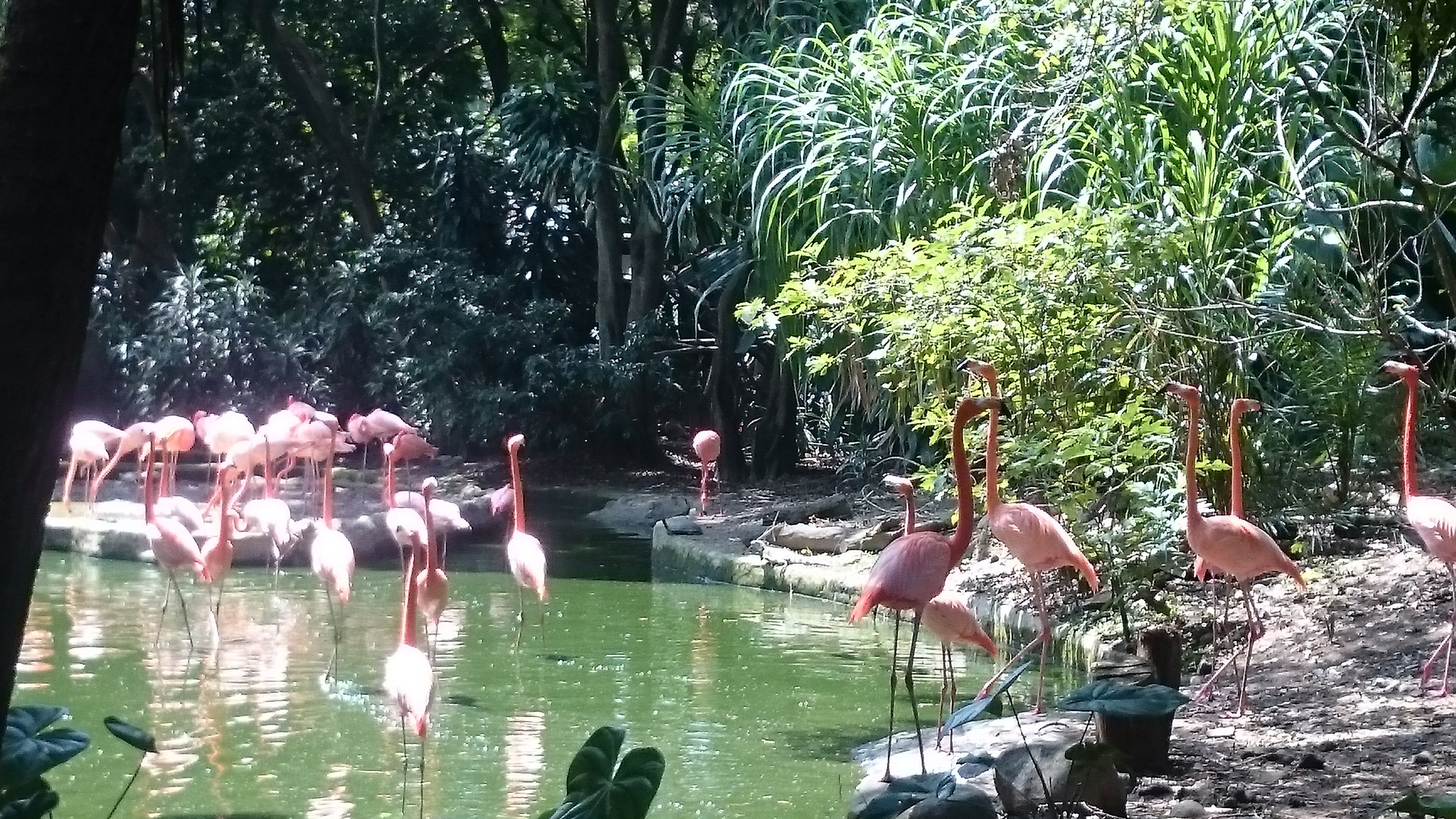 Zoo Medellin, por Ana Villegas