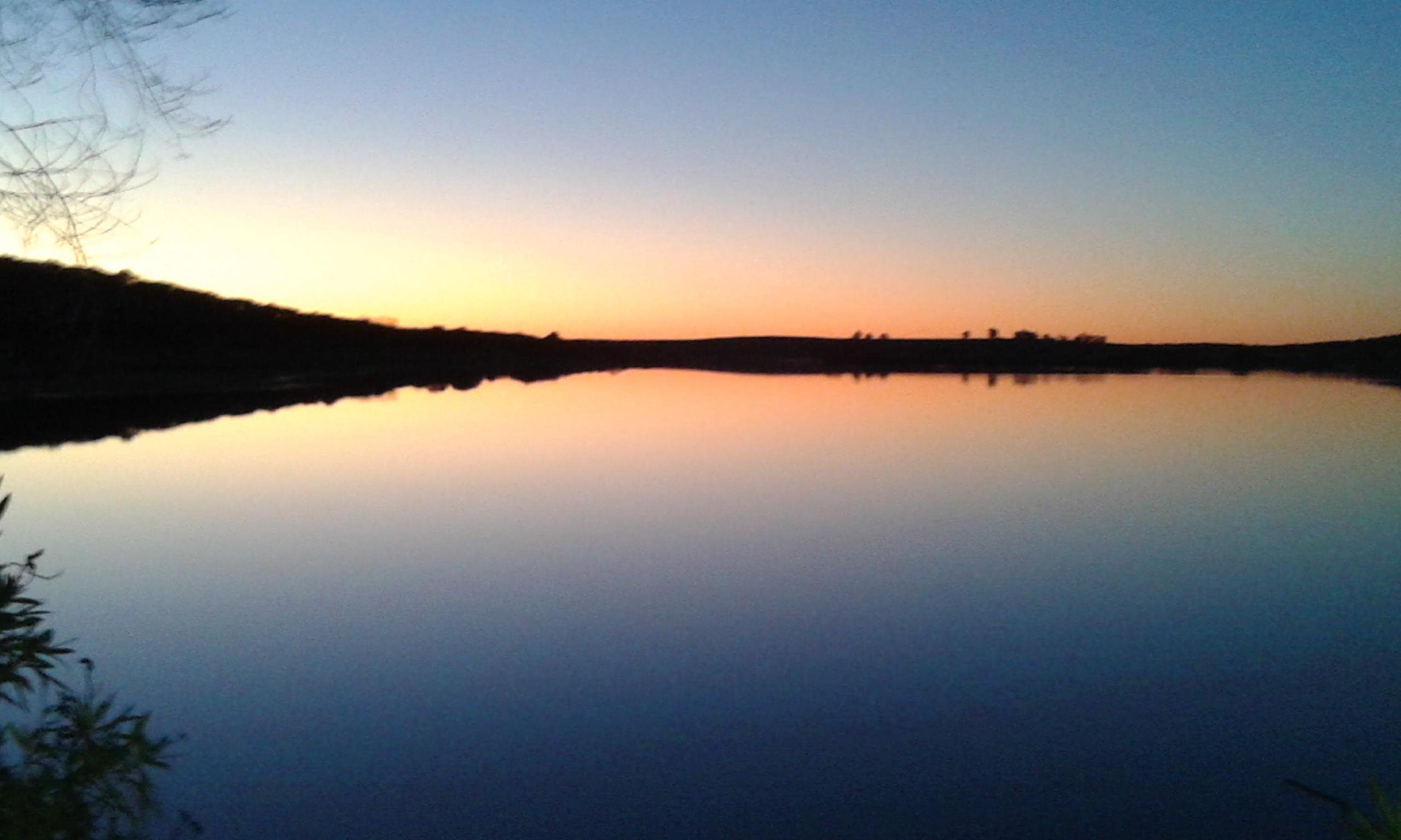 Embalse de Los Canchales, por Jonatán Albizia Julibrissin