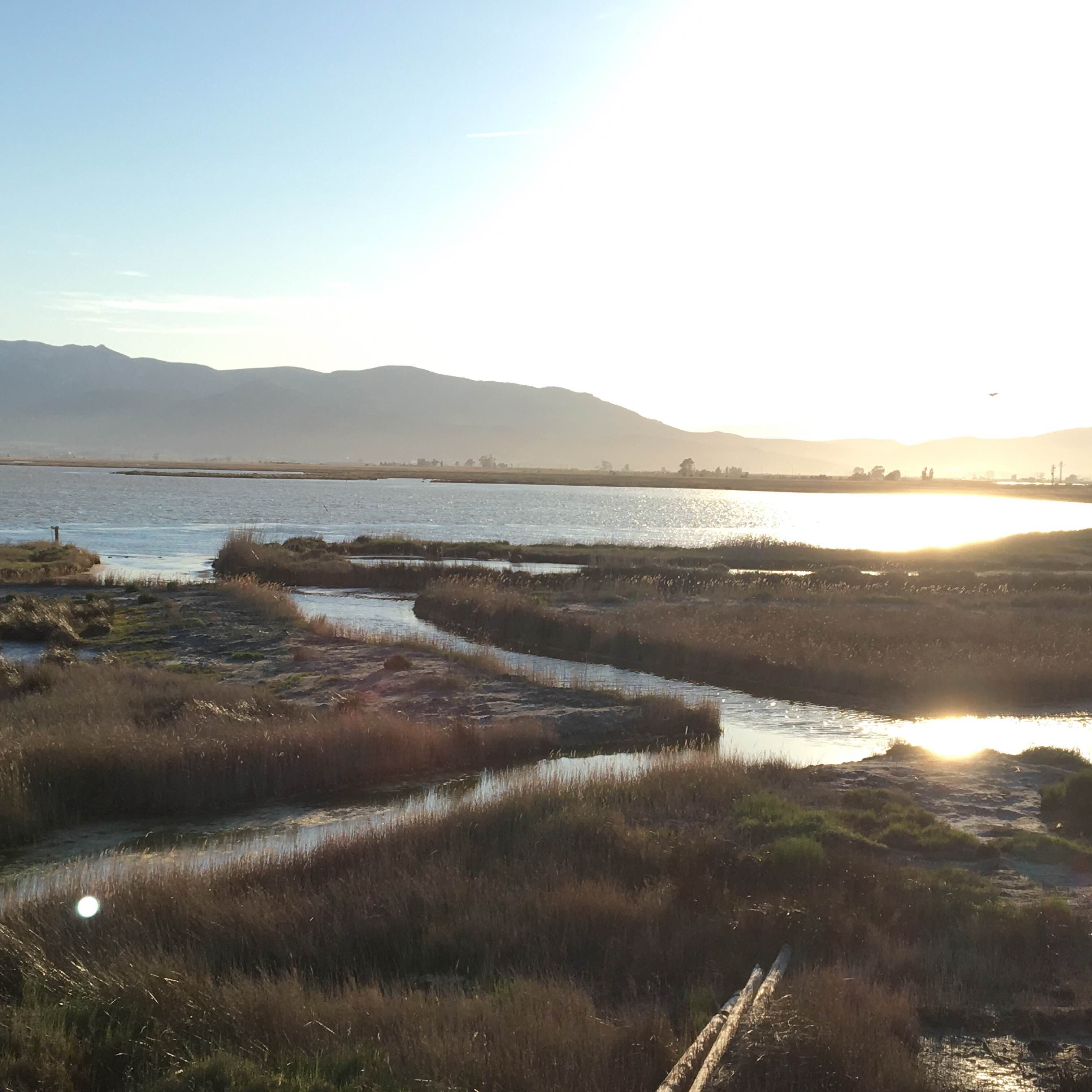 Laguna de la Encanyissada, por Suzie Macias