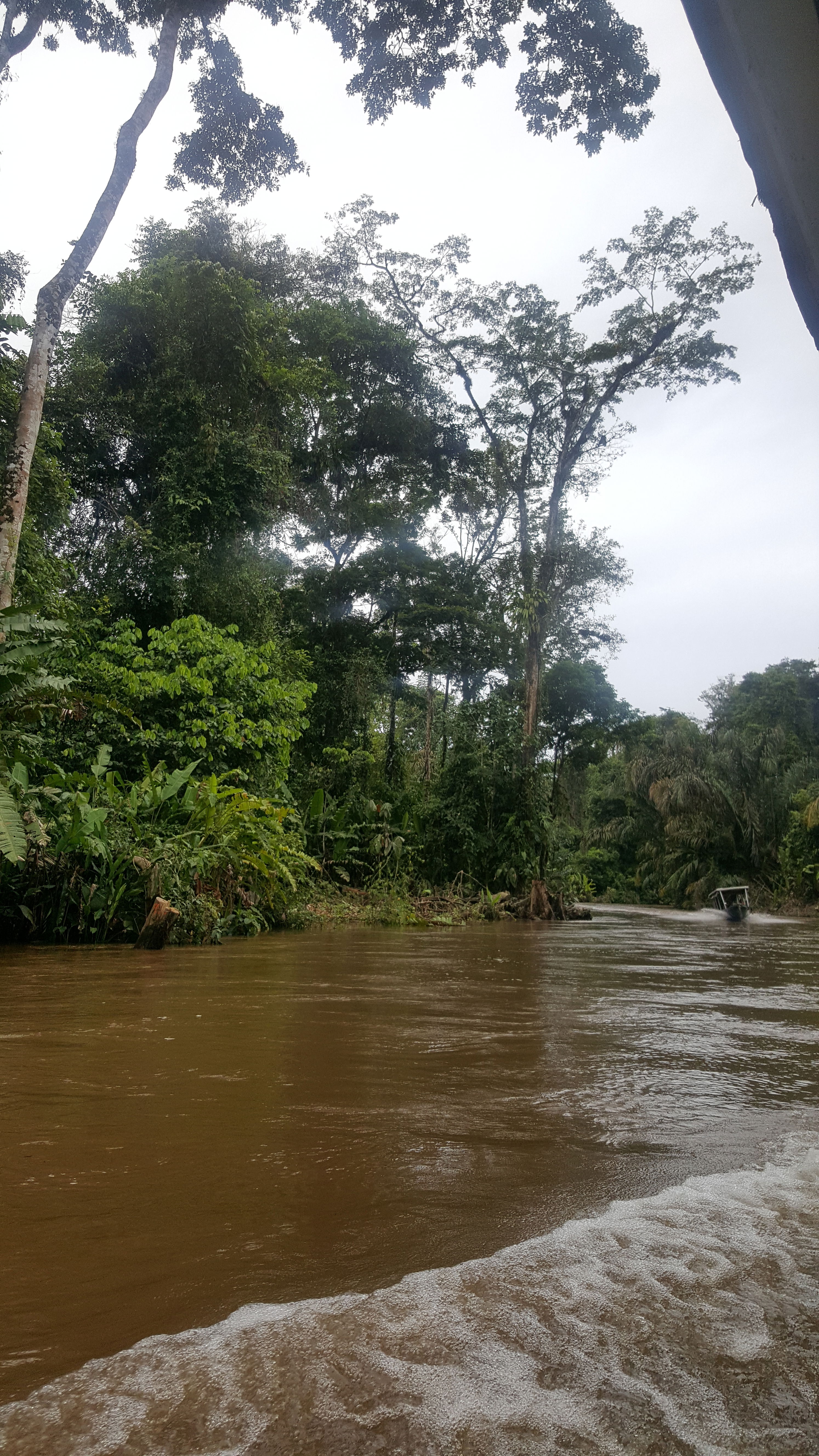 Parque Nacional de Tortuguero, por Mary Martín
