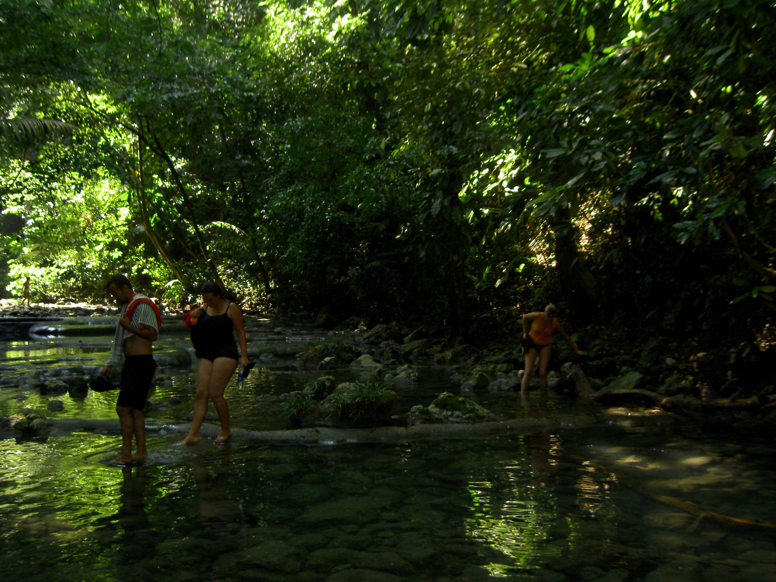 Alta Verapaz, por guanche