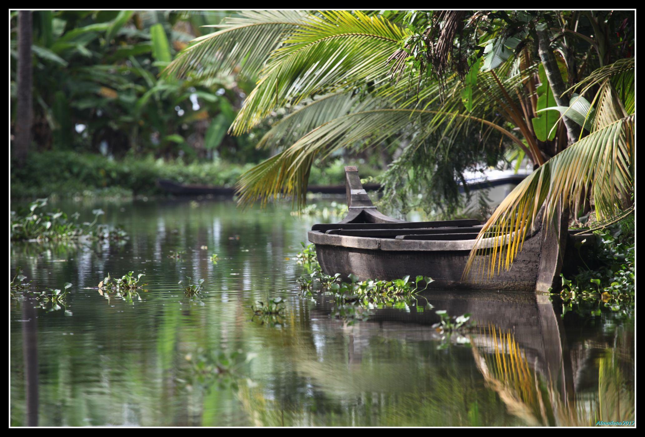 Backwaters, por Almudena