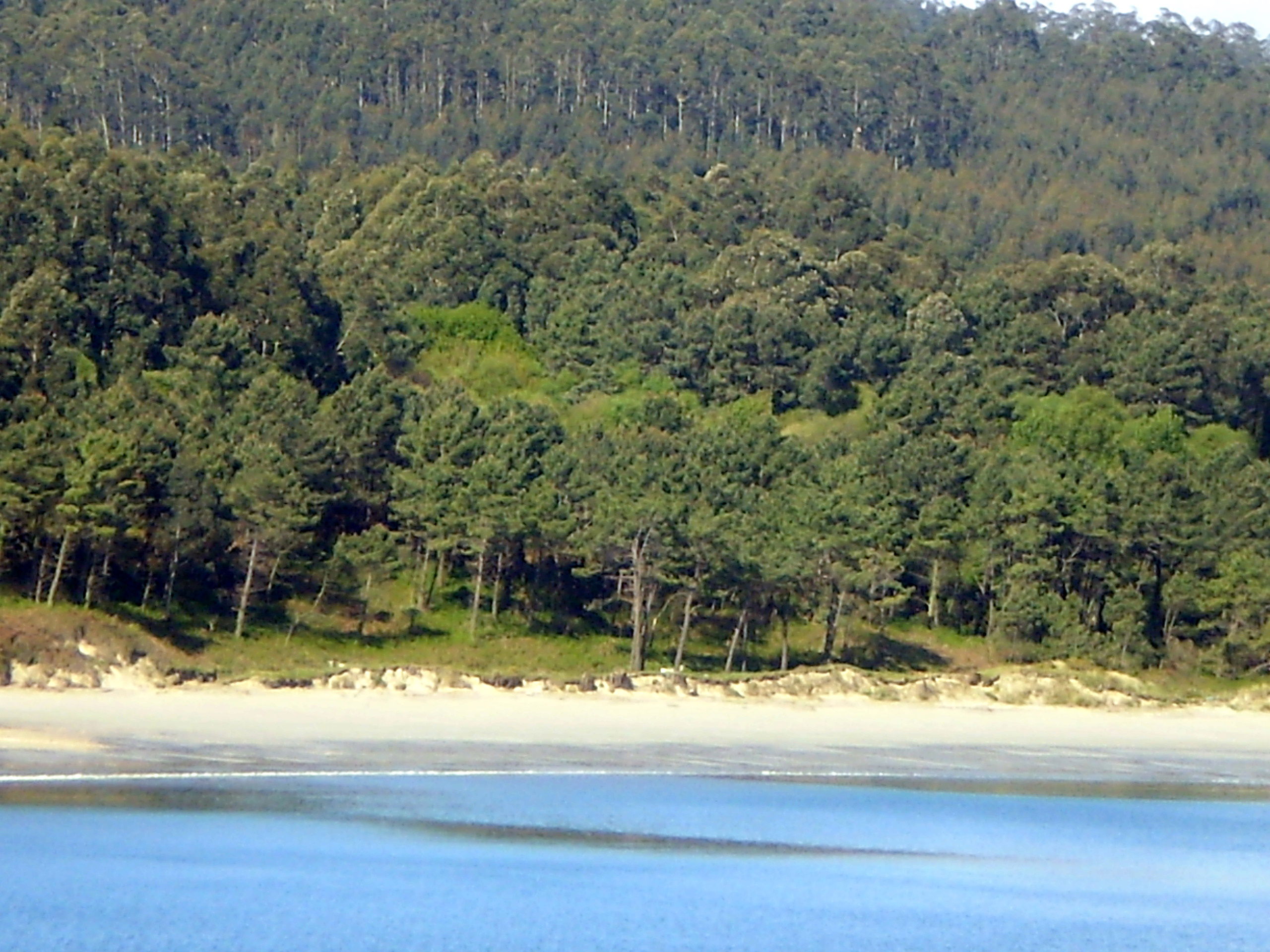 Playa de Area Longa, por Lala