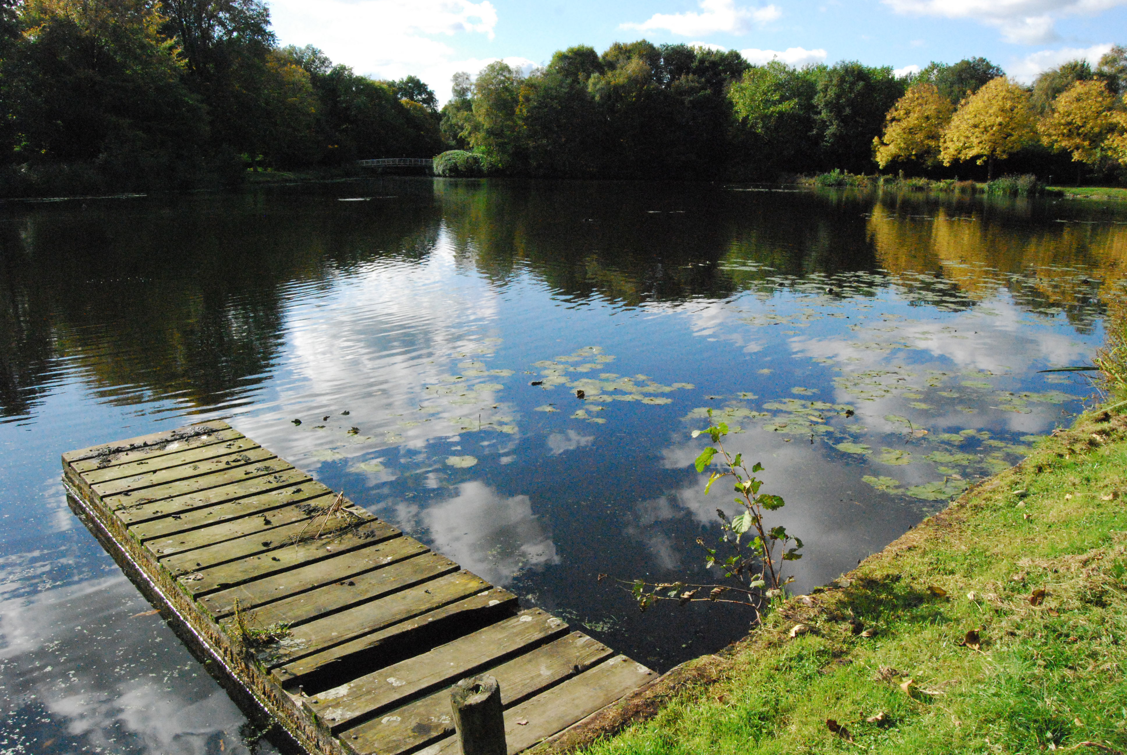 Lago en Stadspark, por Eneko Salvatierra