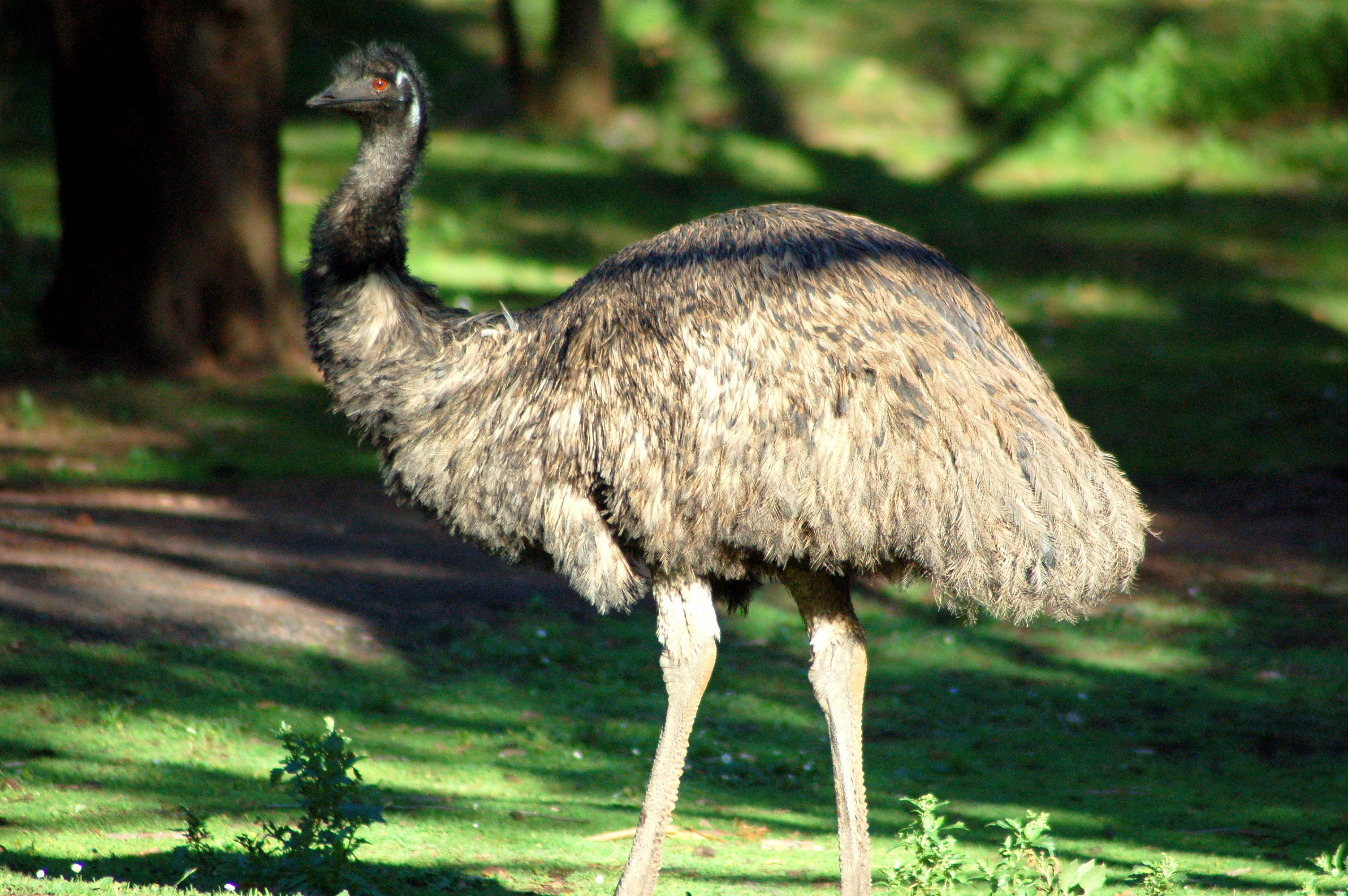 Tower Hill State Game Reserve, por naxos