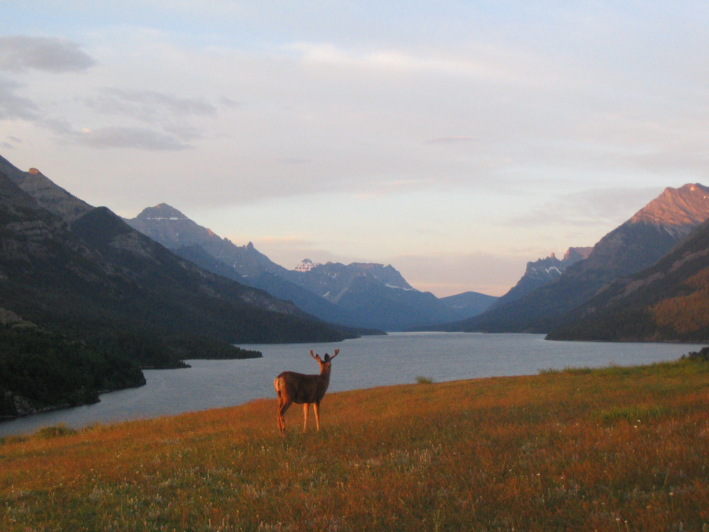 Waterton Lakes, por David Labrosse