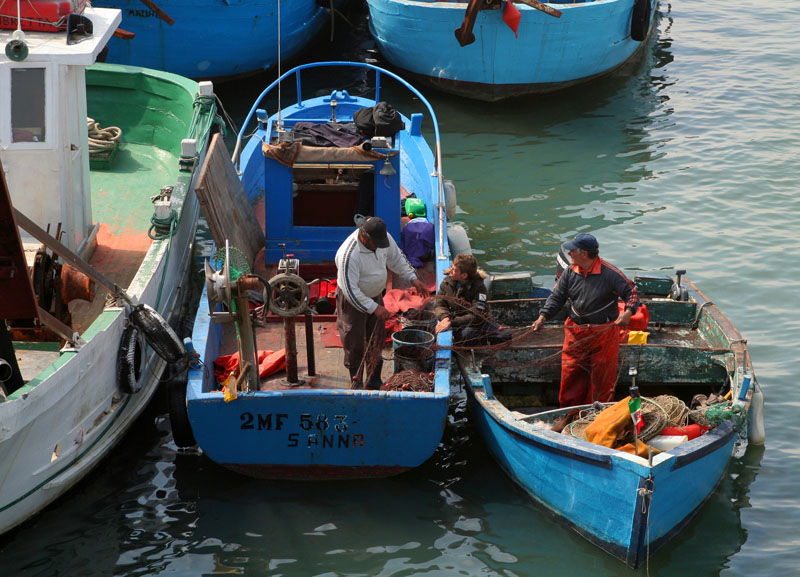 Pesca en Adriatica, por GERARD DECQ