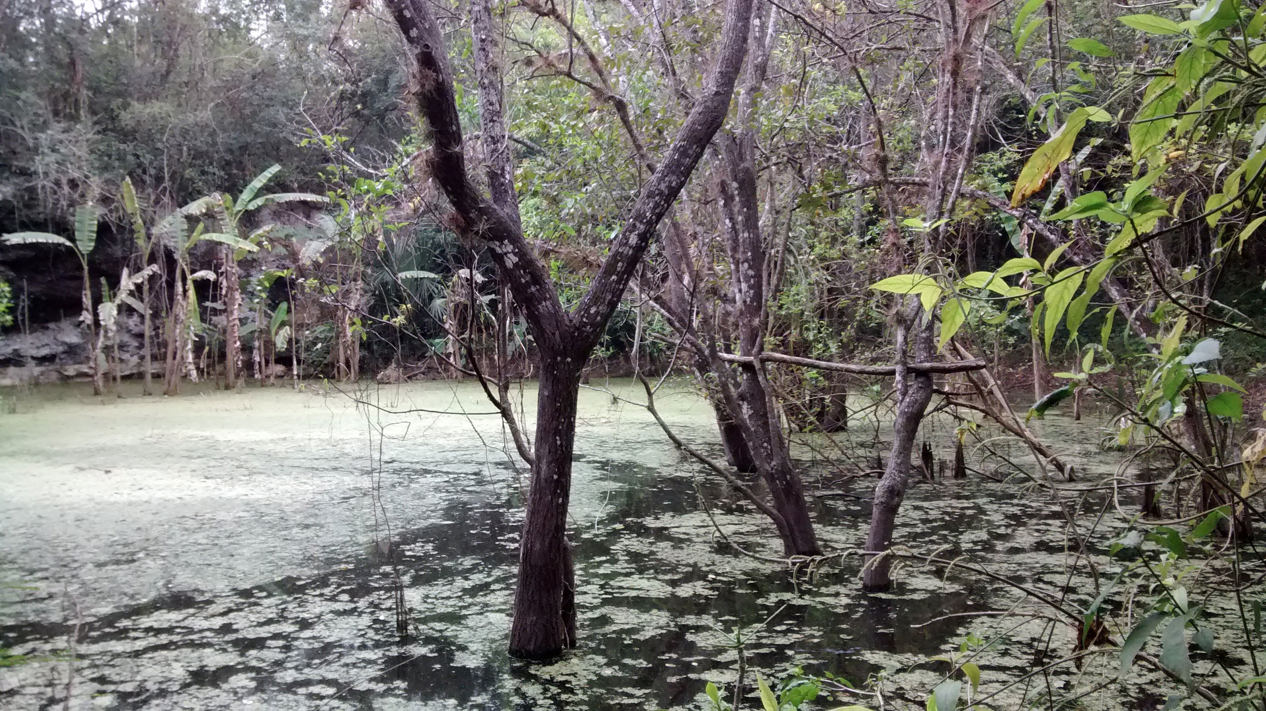 Cenotes Nabalam, por Alex Alcala