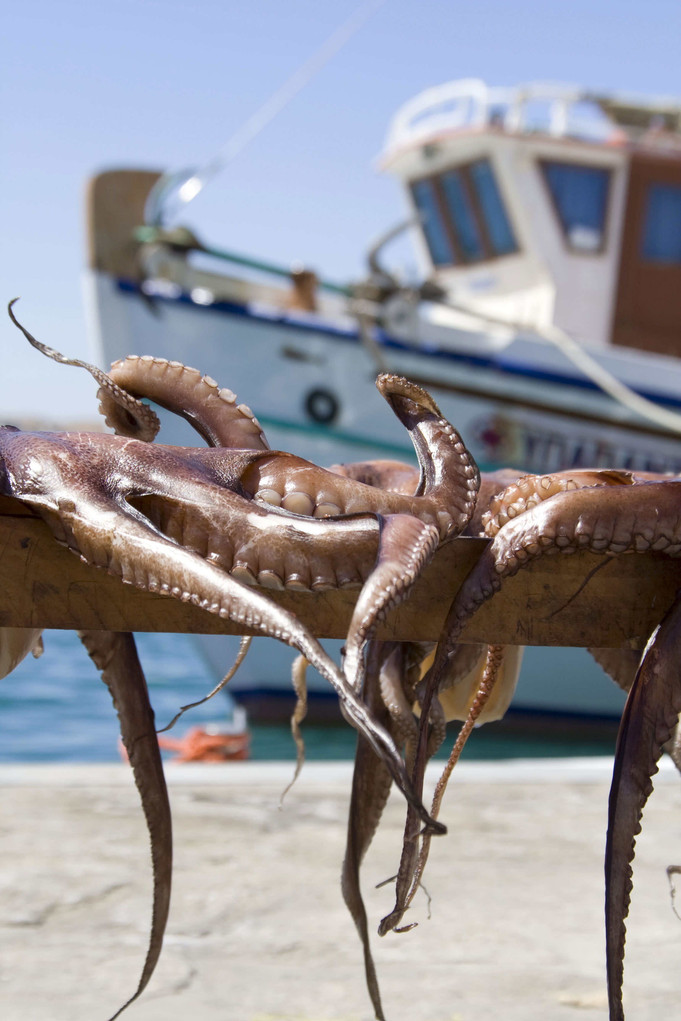 Puerto De Paros, por REBECA
