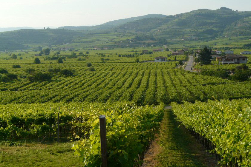 Ruta del Vino del Soave, por Marco Guizzardi