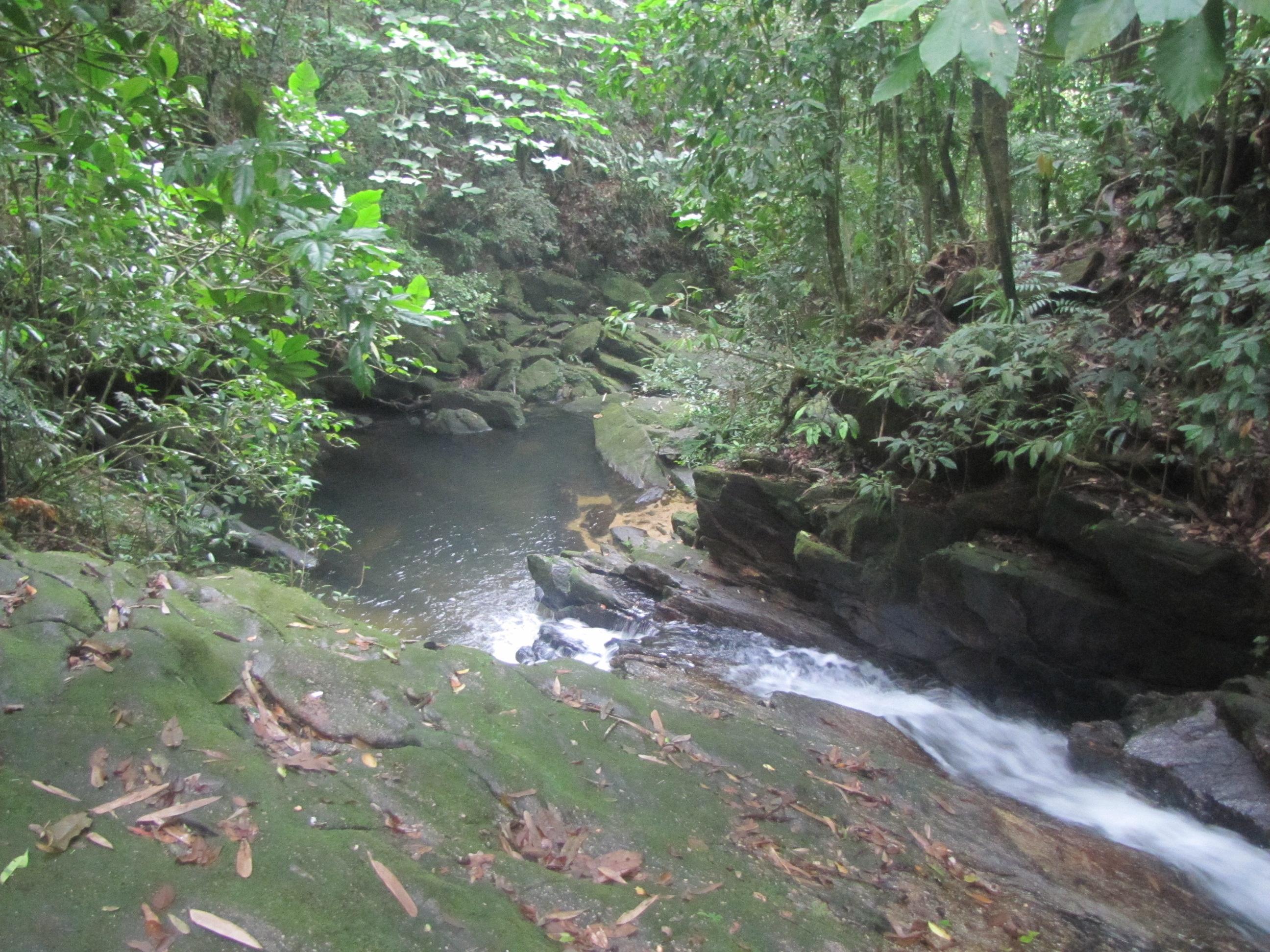 Cascada Prainha Branca, por Raffa