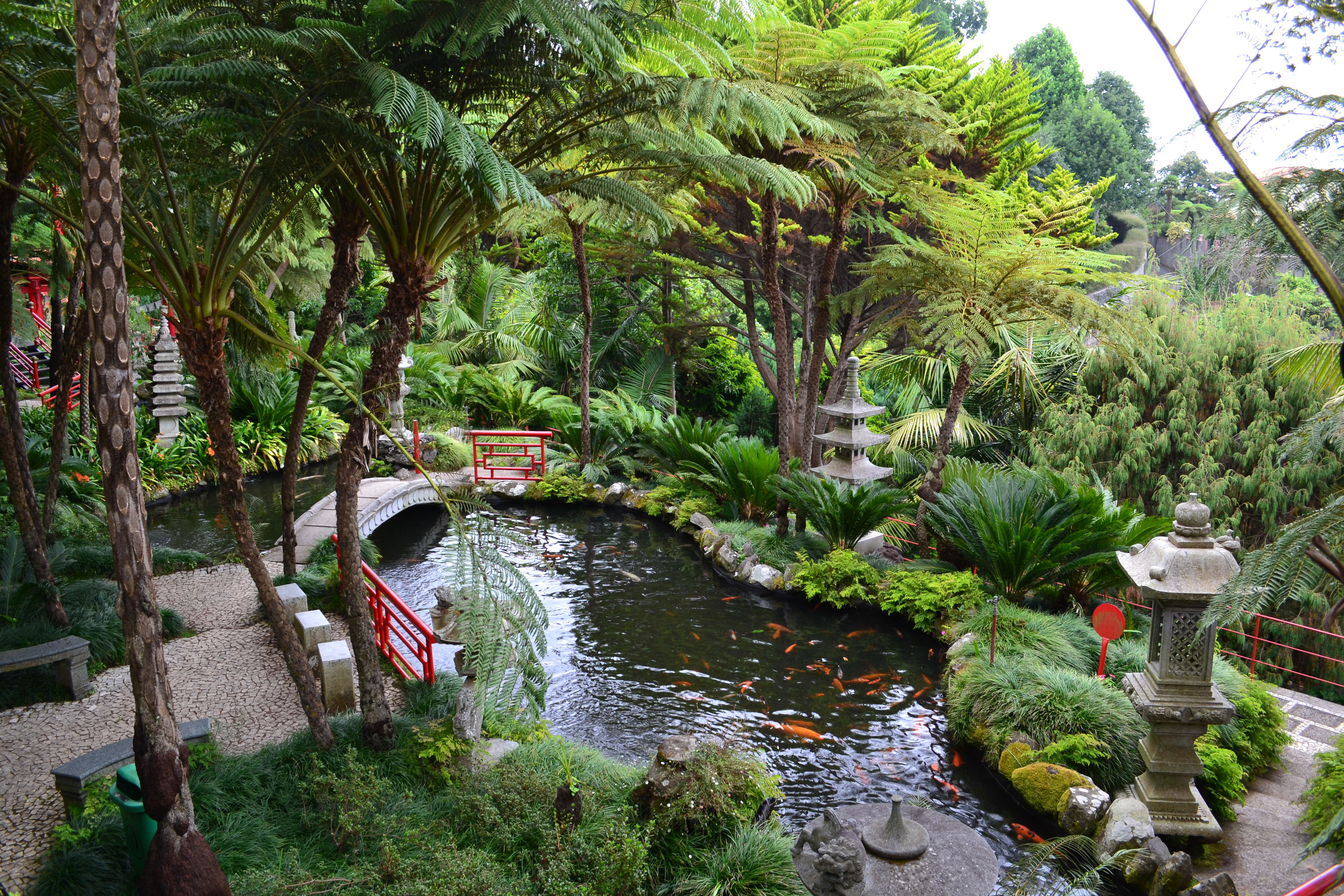 Jardín Tropical Monte Palace, por Alessandra Consonni
