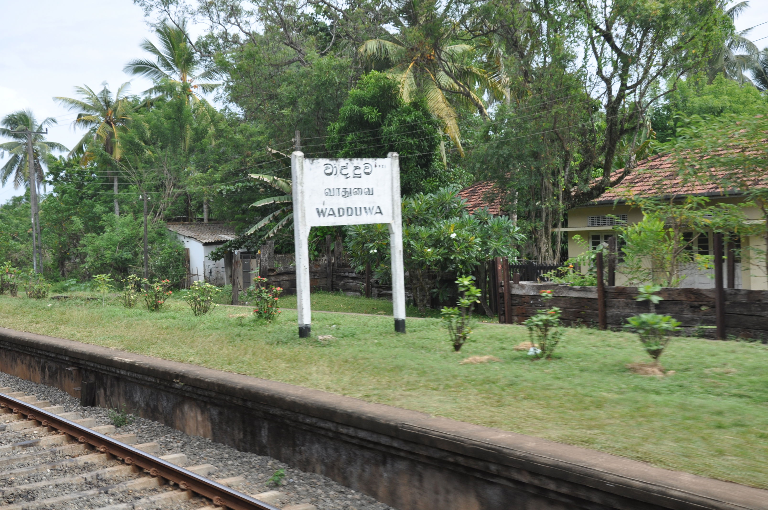 Estaciones de tren en Sri Lanka: descubre joyas ocultas y paisajes vibrantes