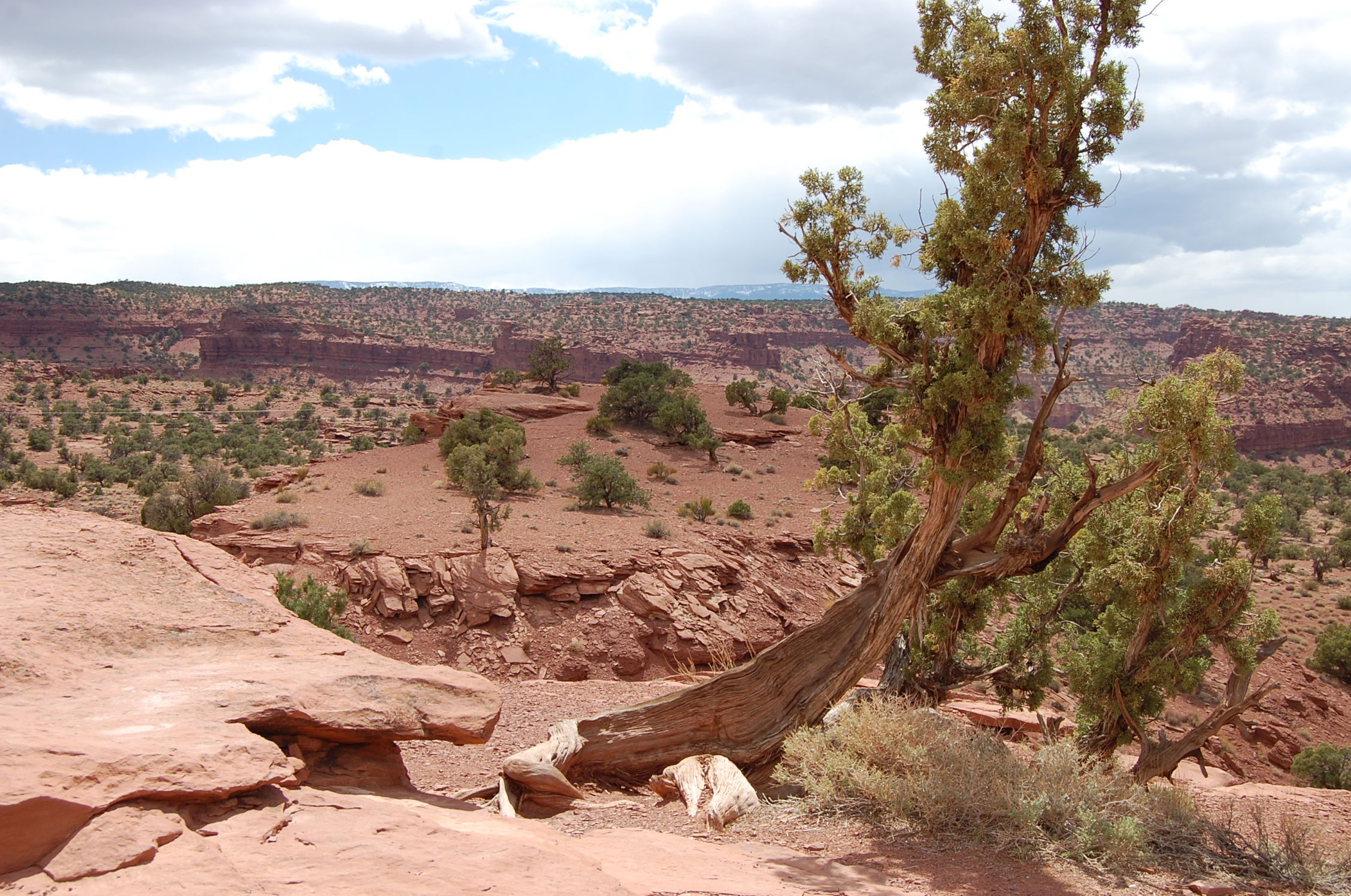 Capitol Reef National Park, por Estela Lull (Hatsue)