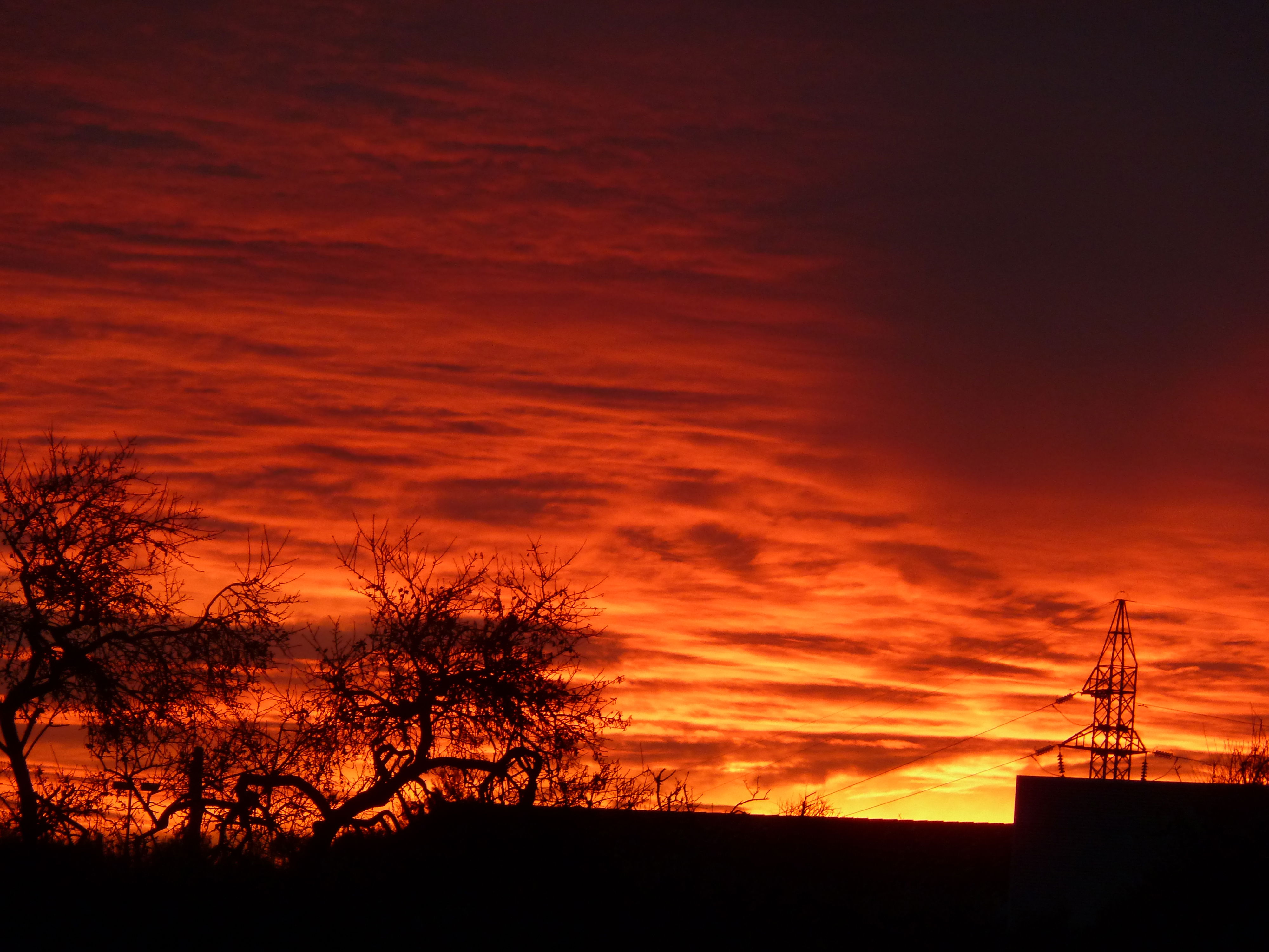 Amanecer en Sa Pobla en Sa Pobla: 2 opiniones y 13 fotos