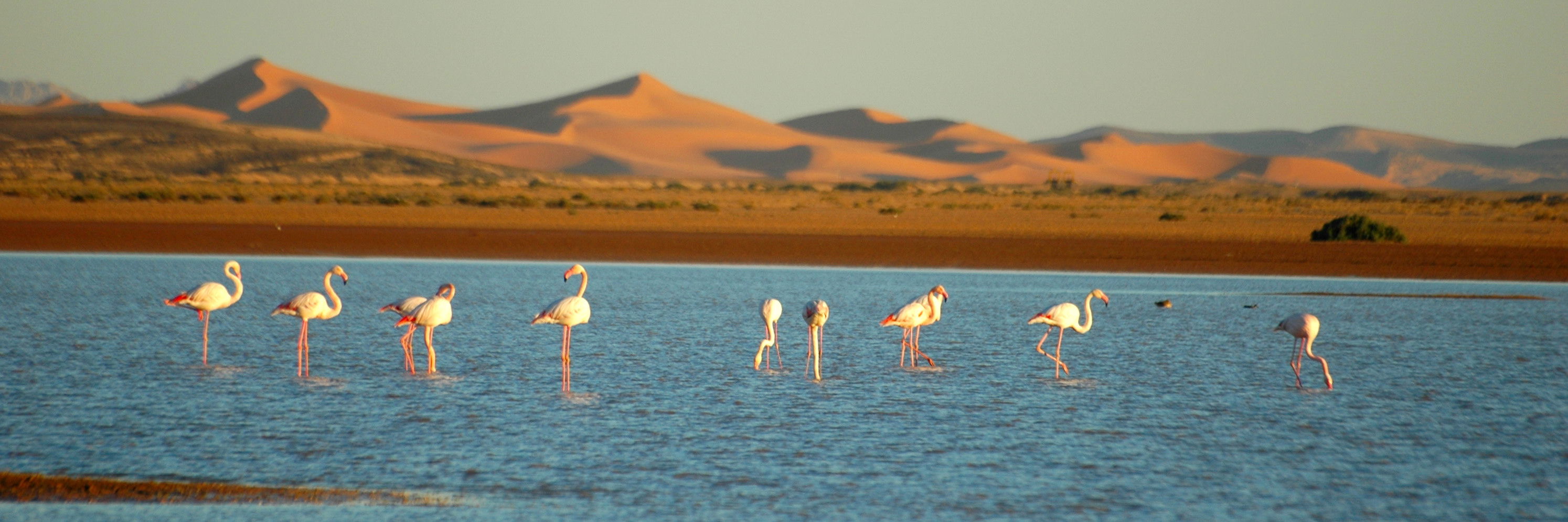 Lago Dayet Srji, por Arnaud YHUEL
