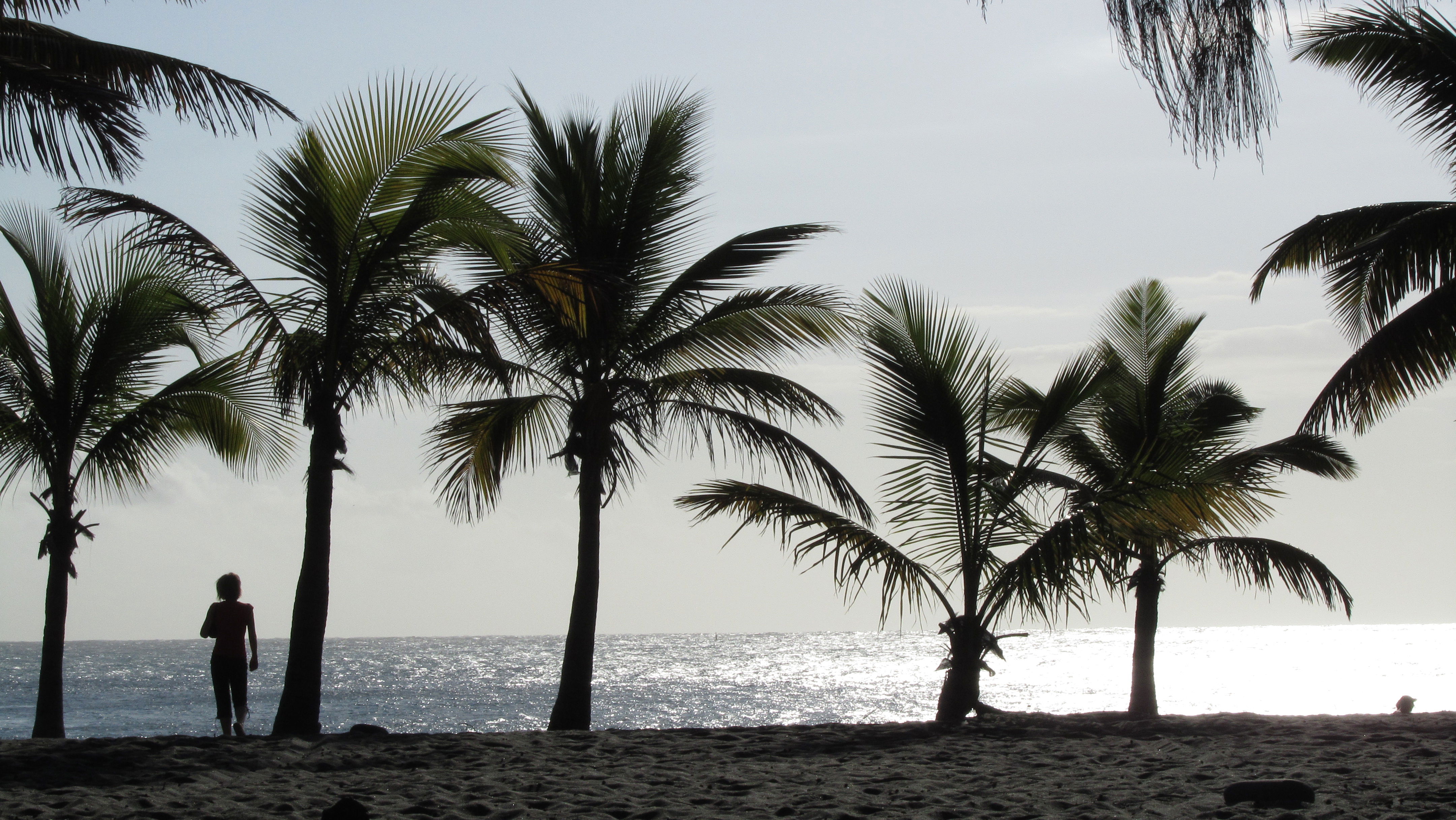 Playas de Reunión: Descubre la belleza de sus rincones costeros