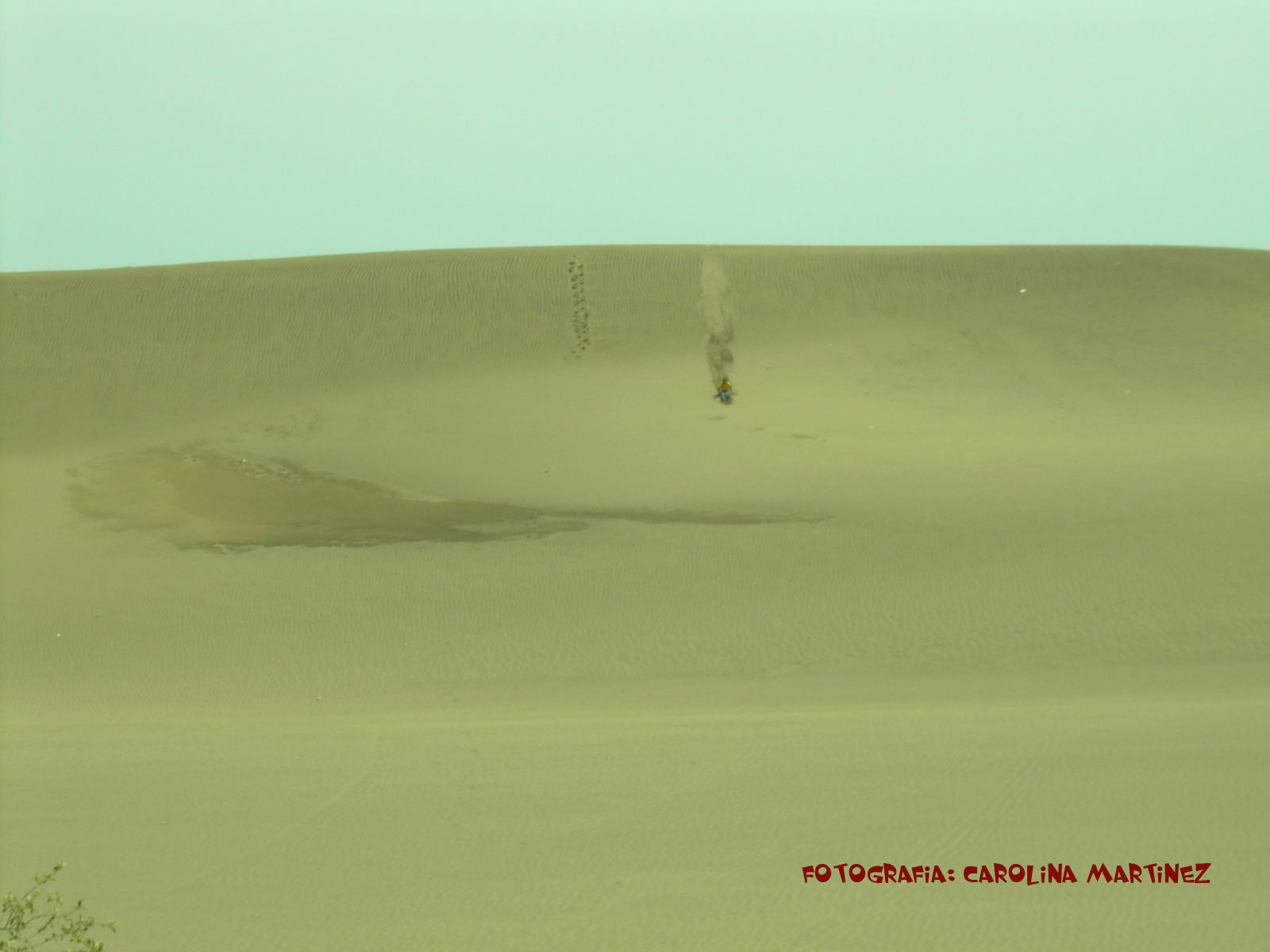 Dunas de Bani, por carolina martinez a1002 tu imagen