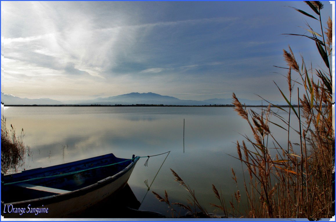 Estanque de Canet, por laurence Langolff