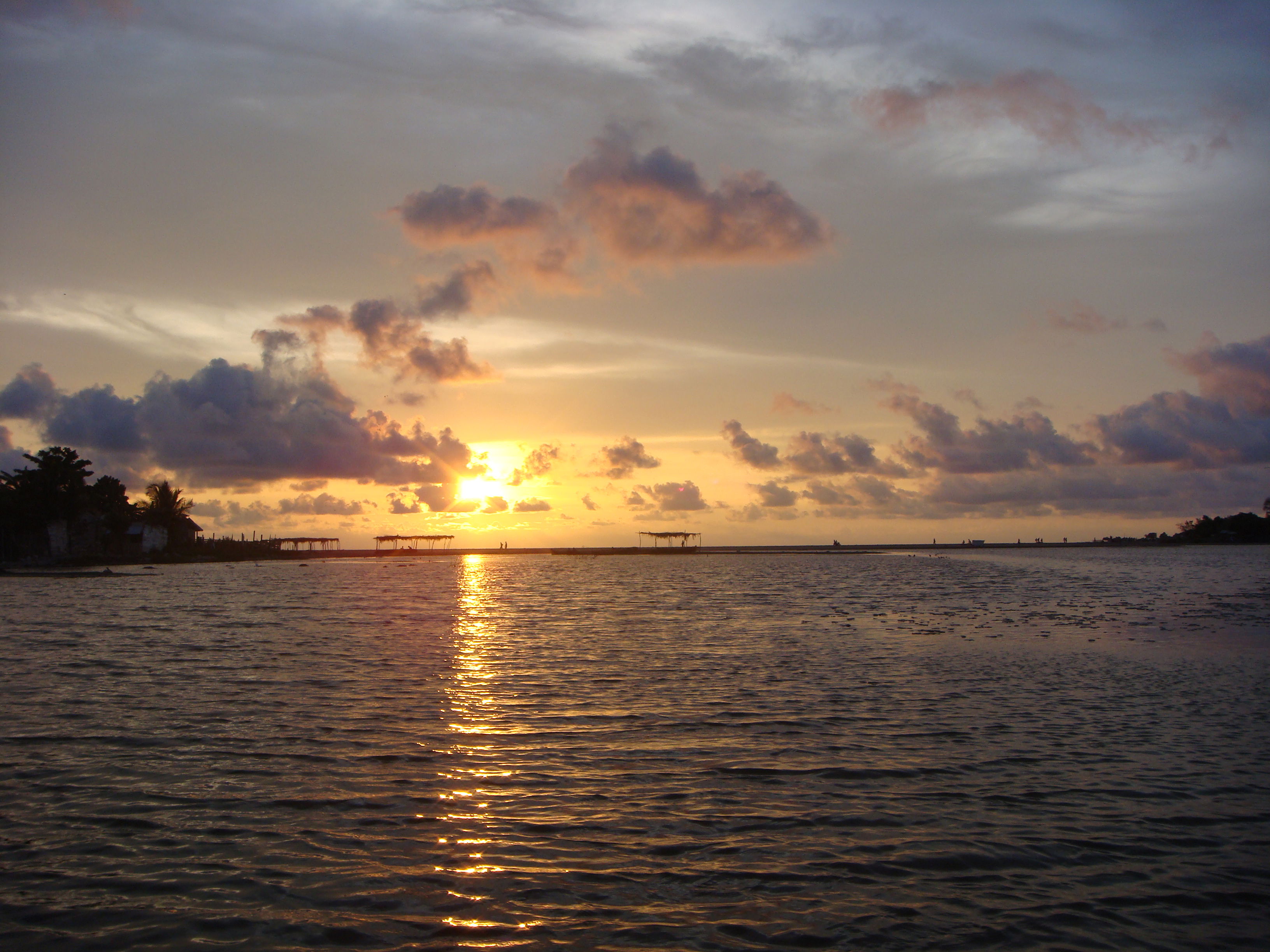 Manglares de Cartagena de Indias, por Sergio Oviedo