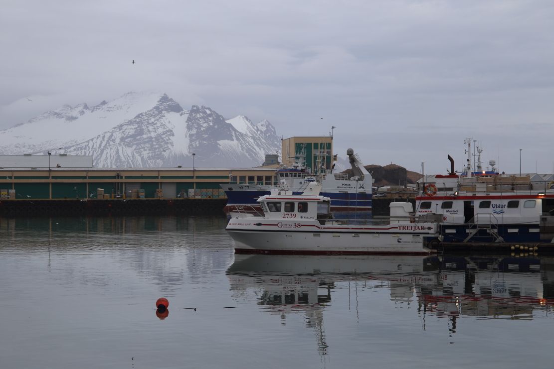 Puerto de Höfn, por ANADEL