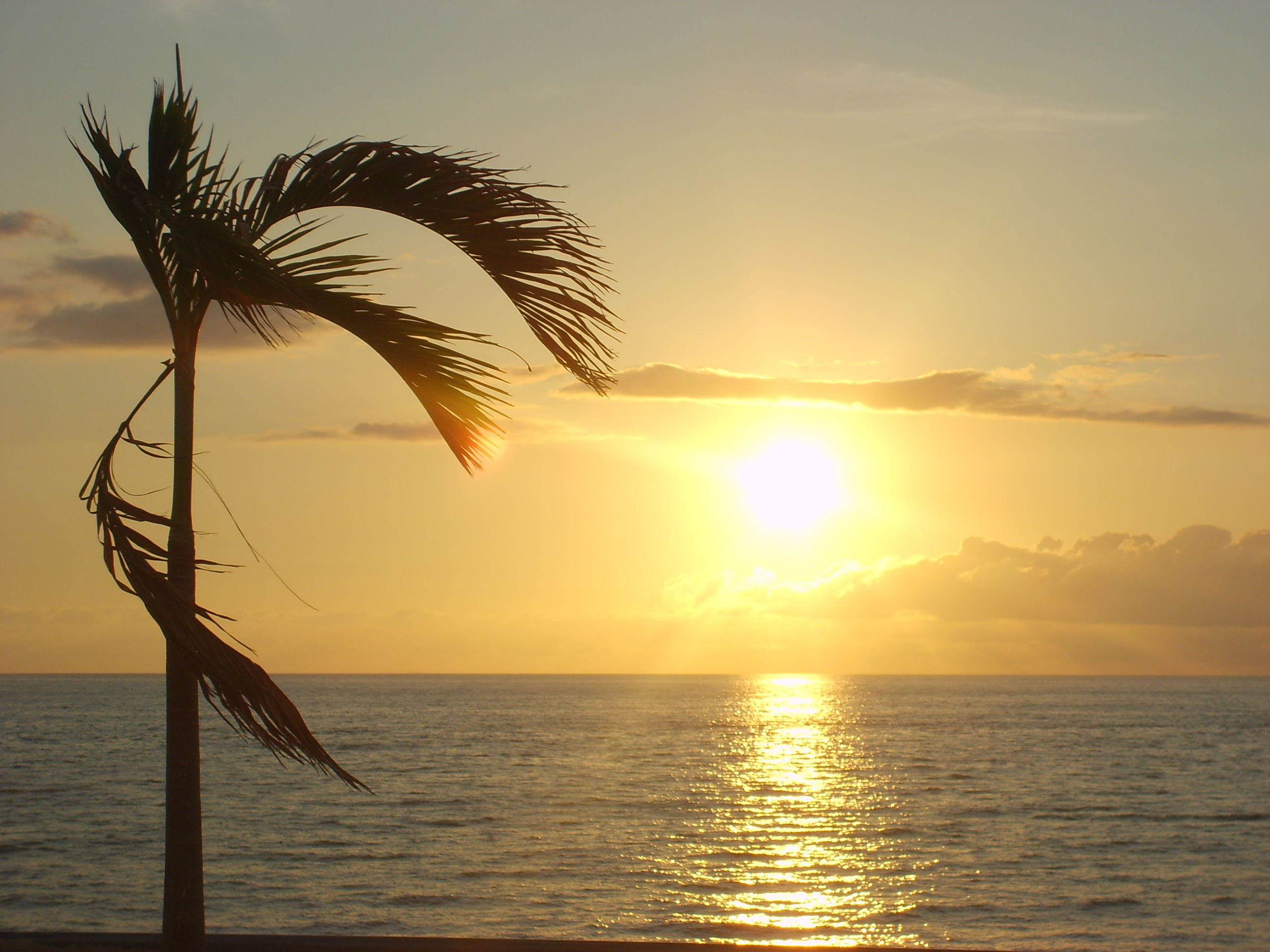 Atardecer En Puerto Vallarta, por EVA MARIA GANDOLFO MOLLA
