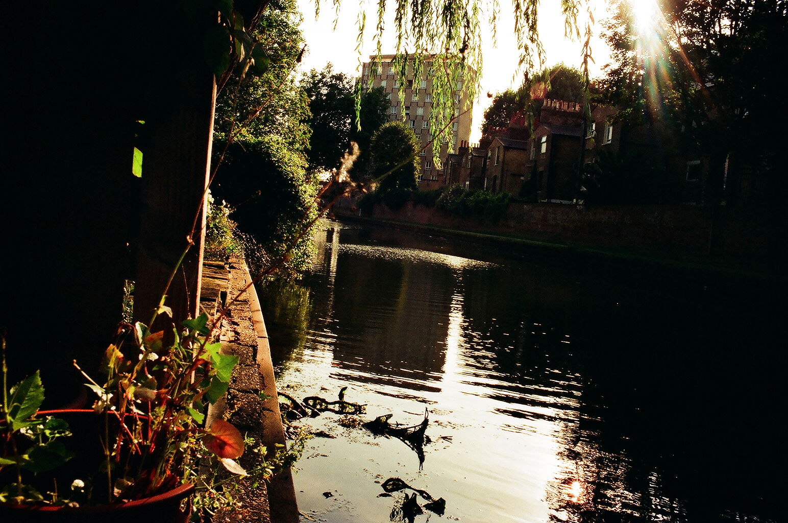 Regent's Canal, por Francisca 