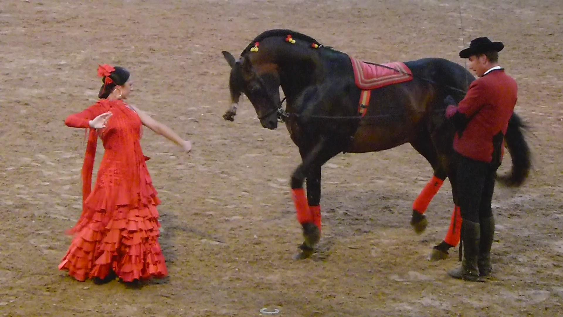 Caballerizas Reales Córdoba, por E.Sonia Requejo Salces
