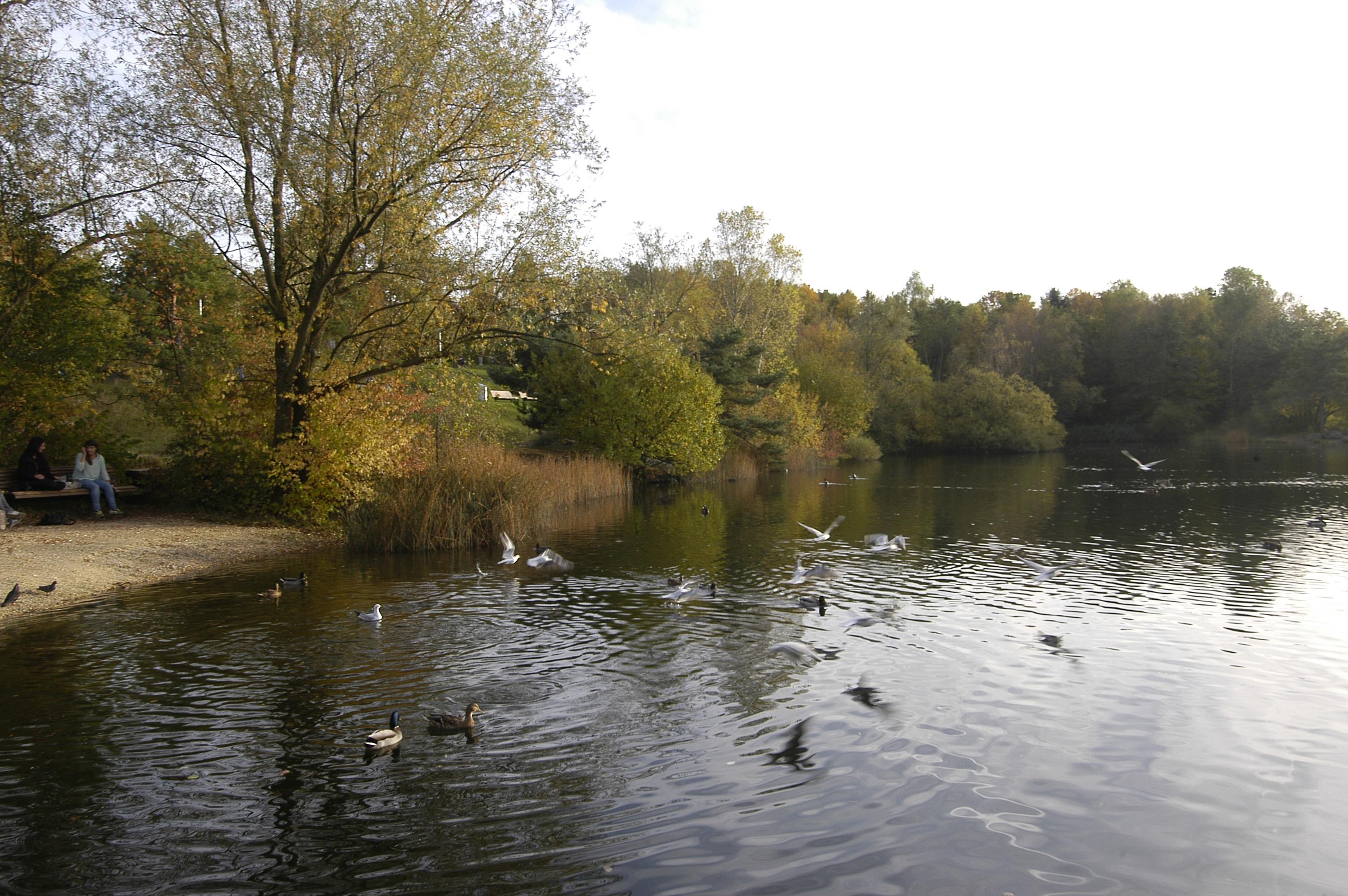 Parque Irchel, Irchelpark, por Marta Padilla