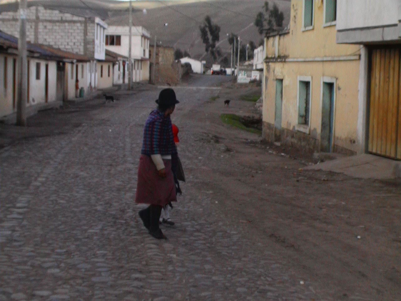 Cusubamba, por guanche