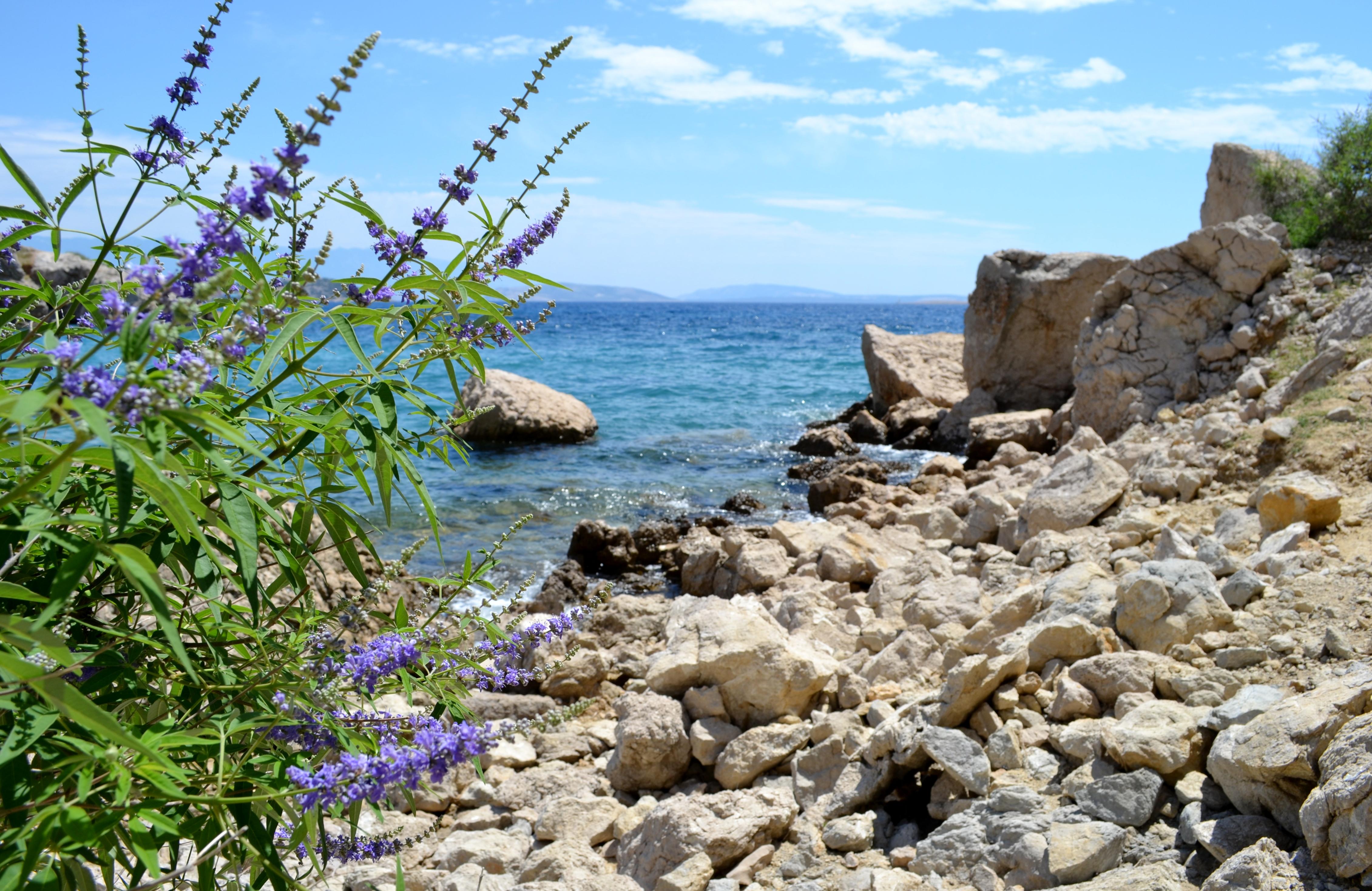 Playa de Oprna, por Simonetta Di Zanutto