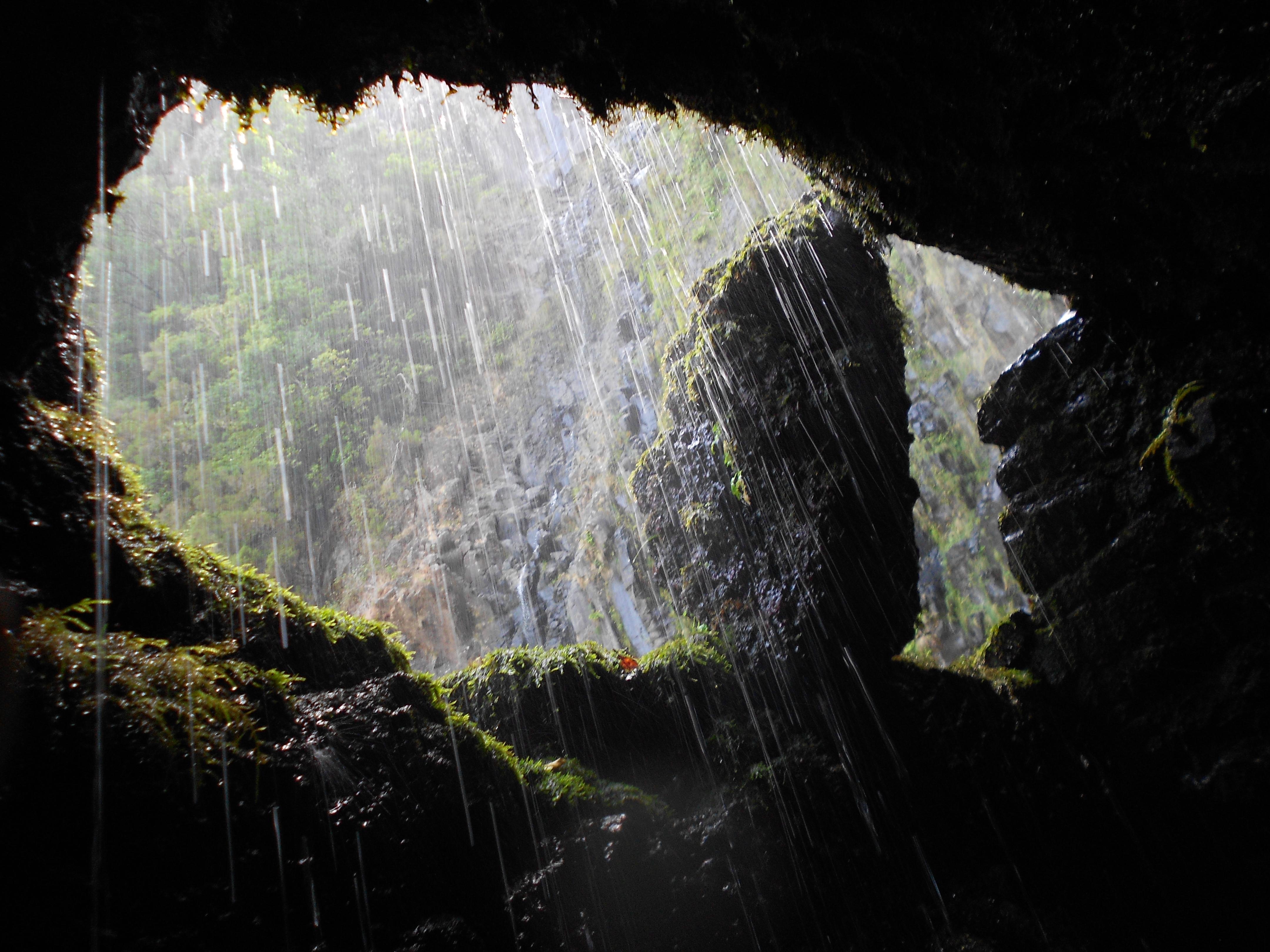 Madeira levadas, por Jesus Cano