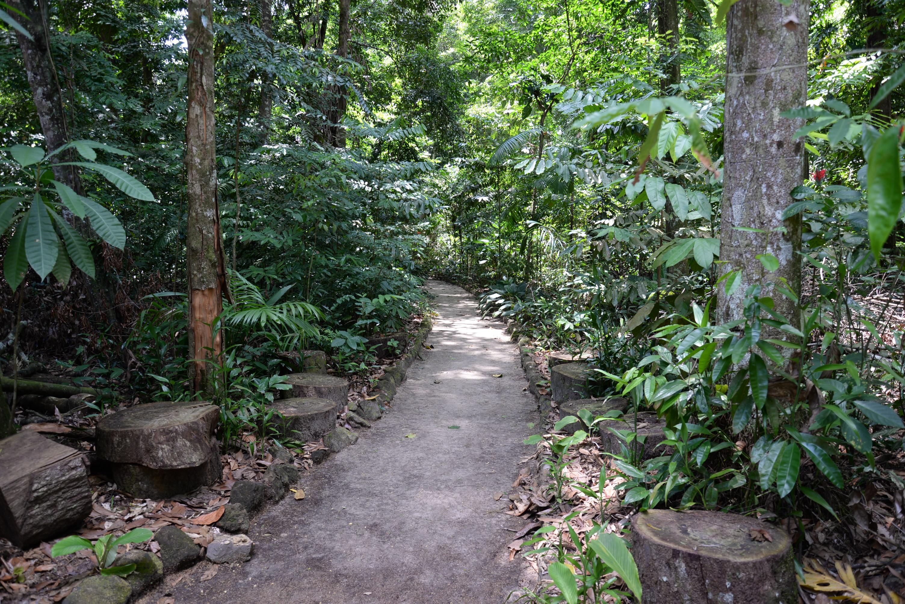 Jardim Botânico da Amazônia Bosque Rodrigues Alves, por Antonio Athayde