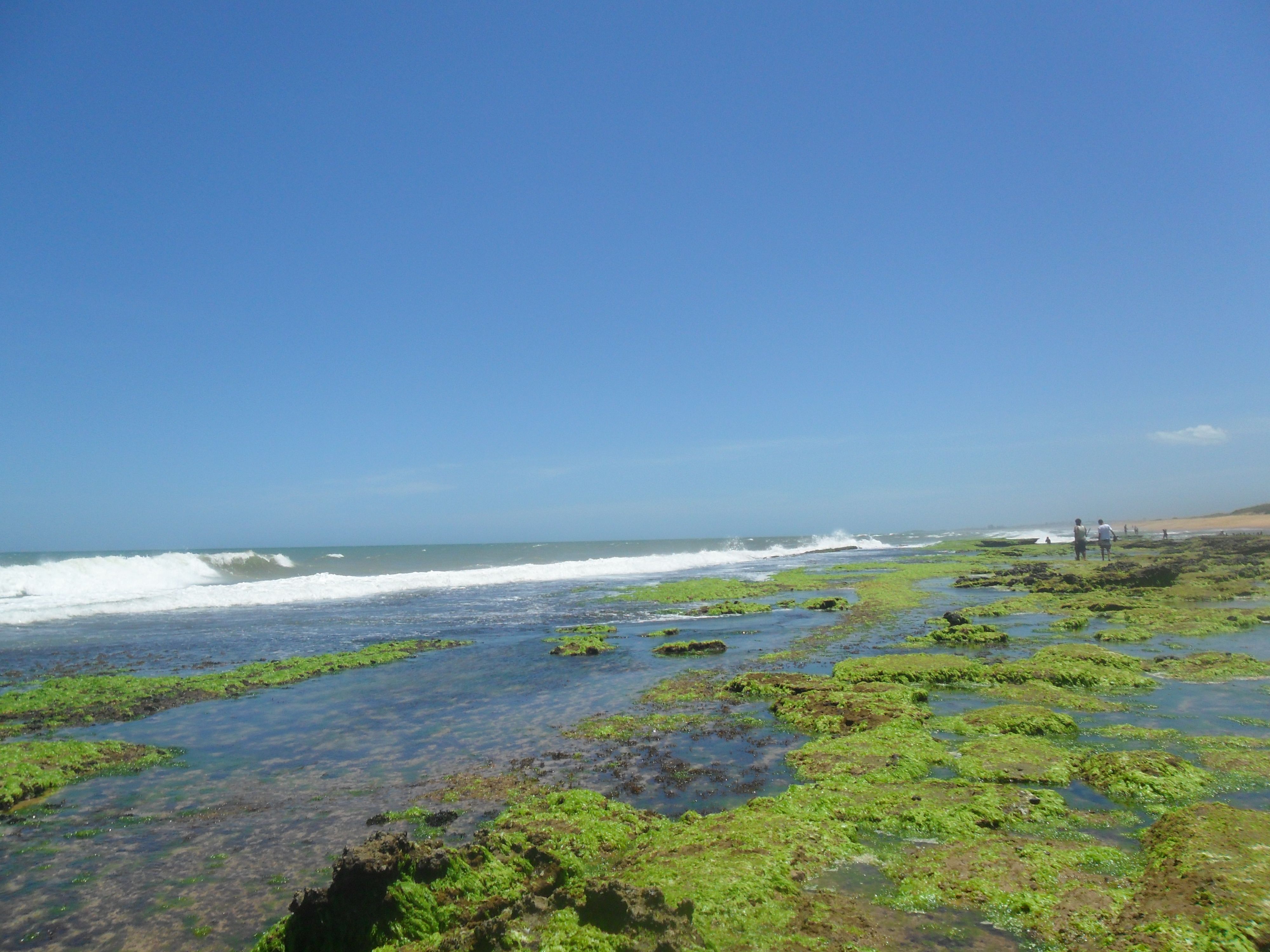 Praia dos Recifes, por Janice Mary