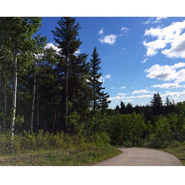 Fish Creek Provincial Park, por Adventure To Anywhere