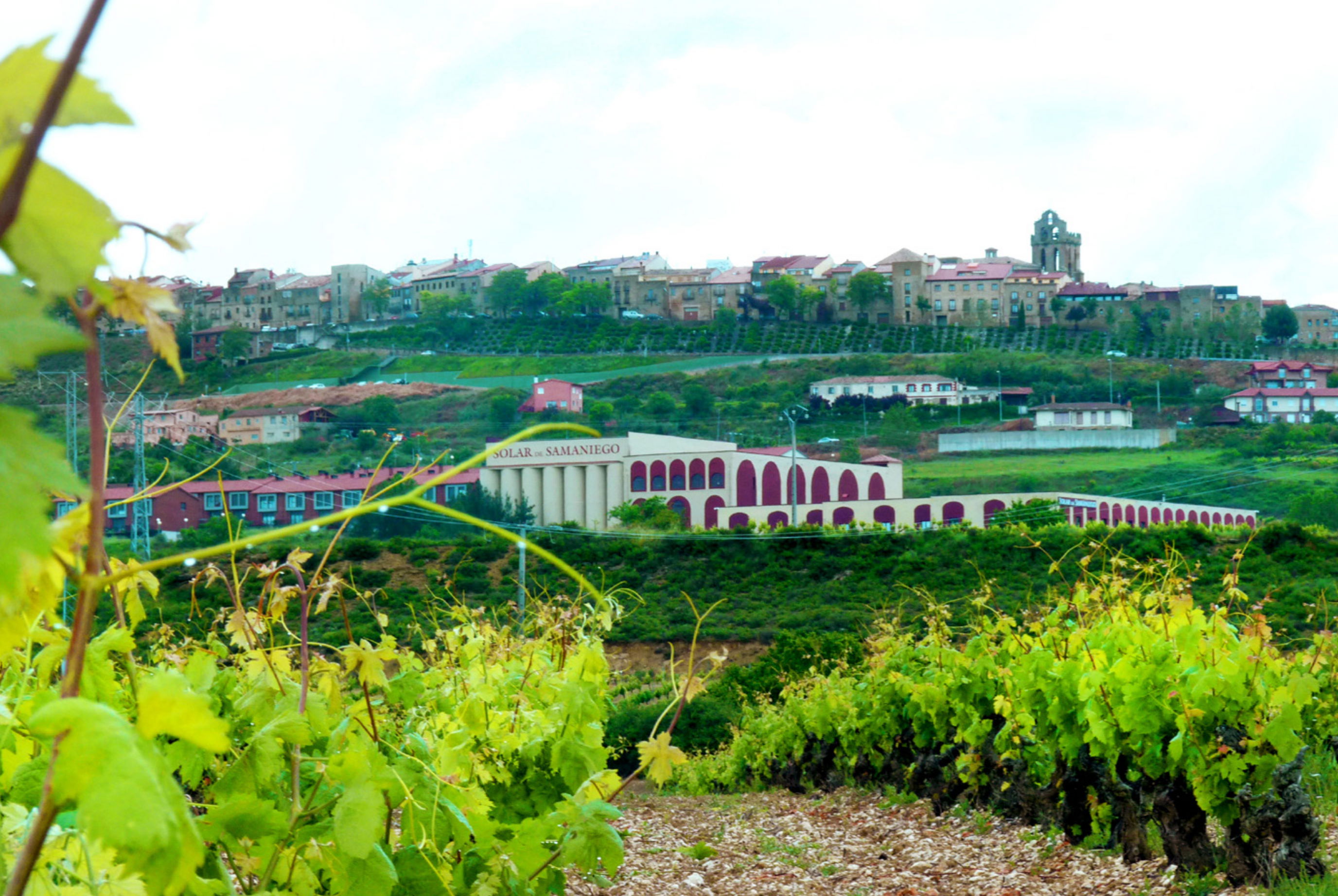 Bodegas Solar de Samaniego, por Solar de Samaniego
