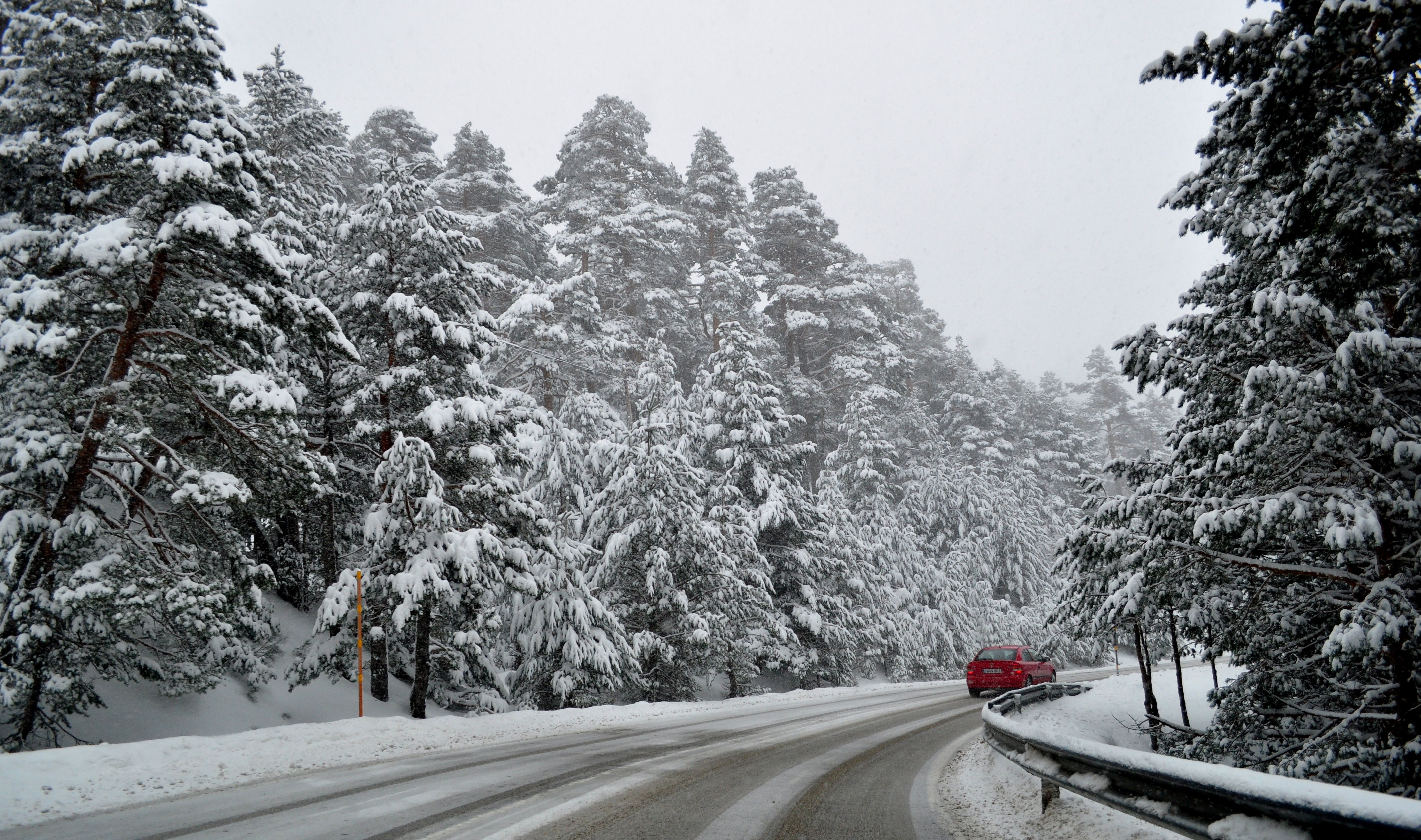 Parque Nacional de Guadarrama, por PILAR ALVAREZ BARTOLOME