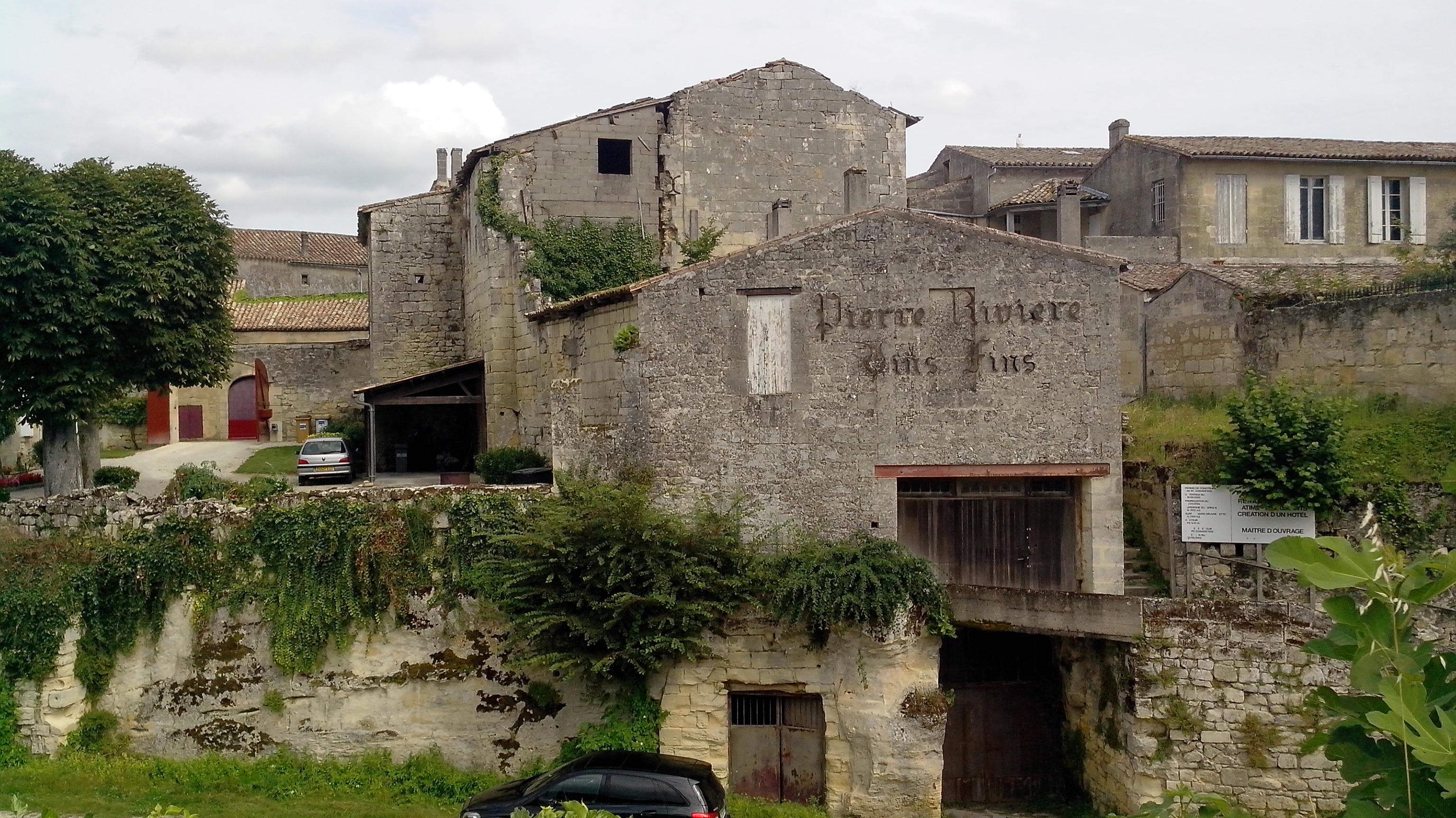 Viñas de Saint-Emilion, por Julie Littler