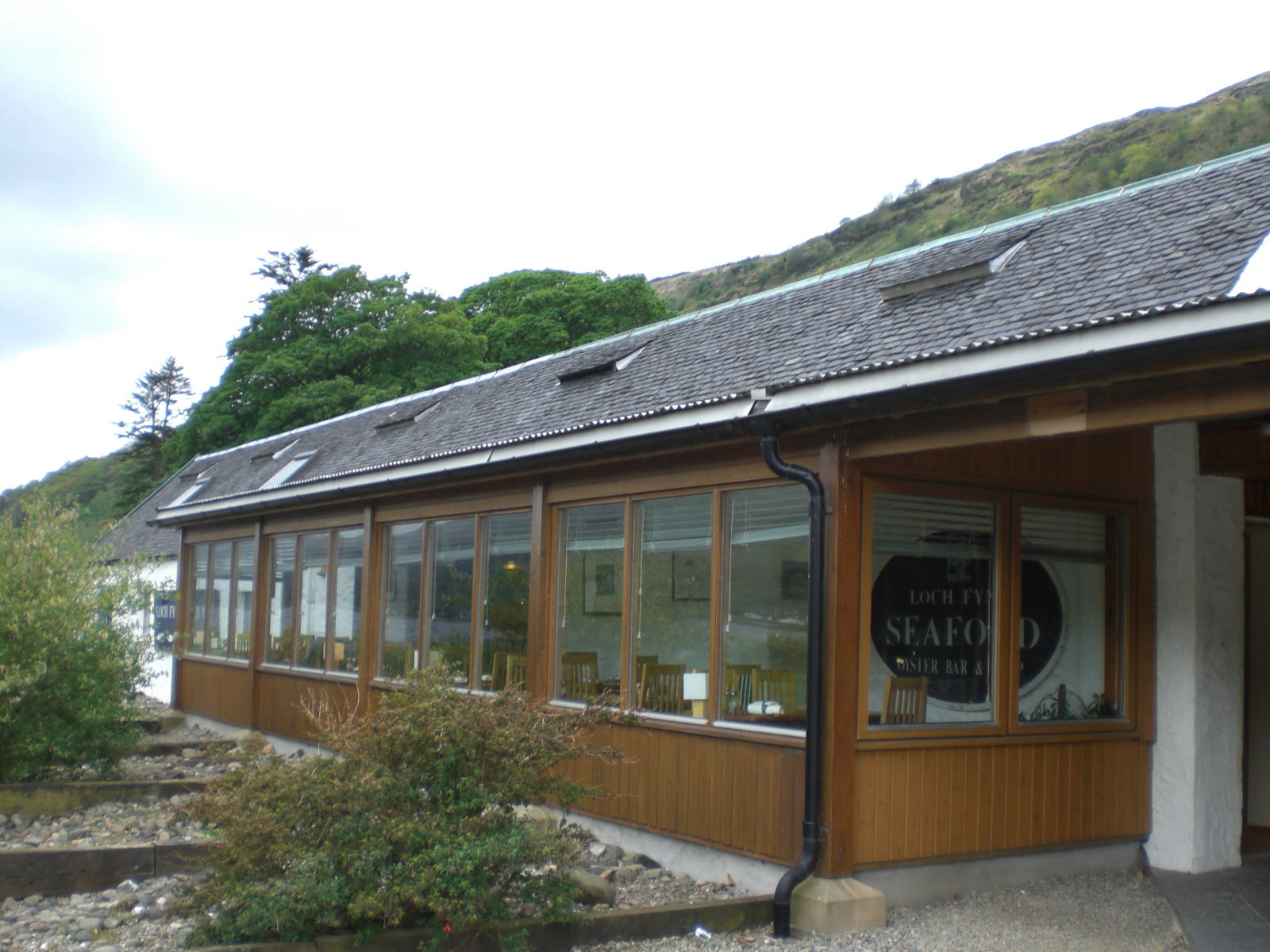 Loch Fyne Oysters, por paulinette