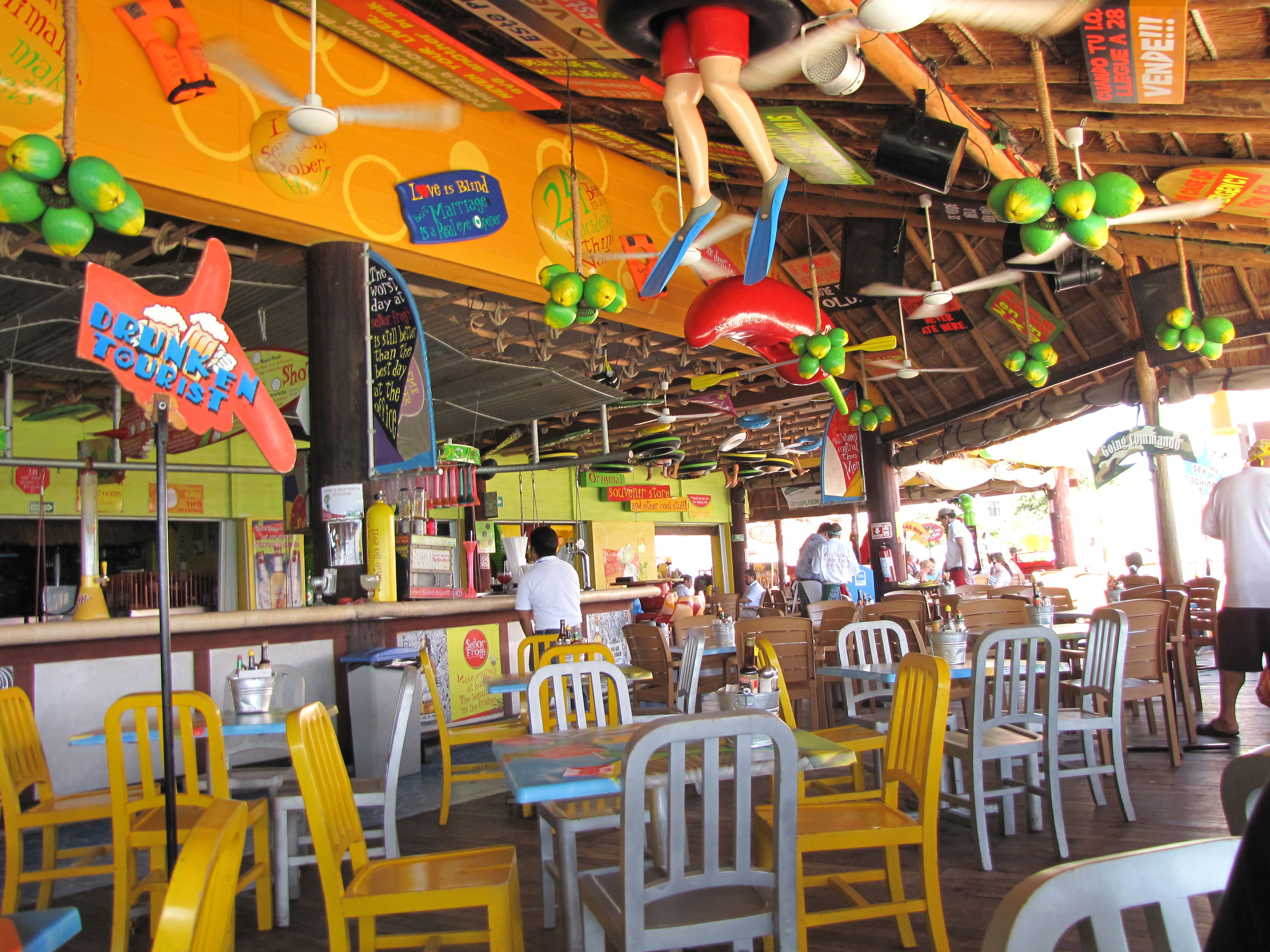 Se or Frog s in Playa del Carmen 7 reviews and 9 photos