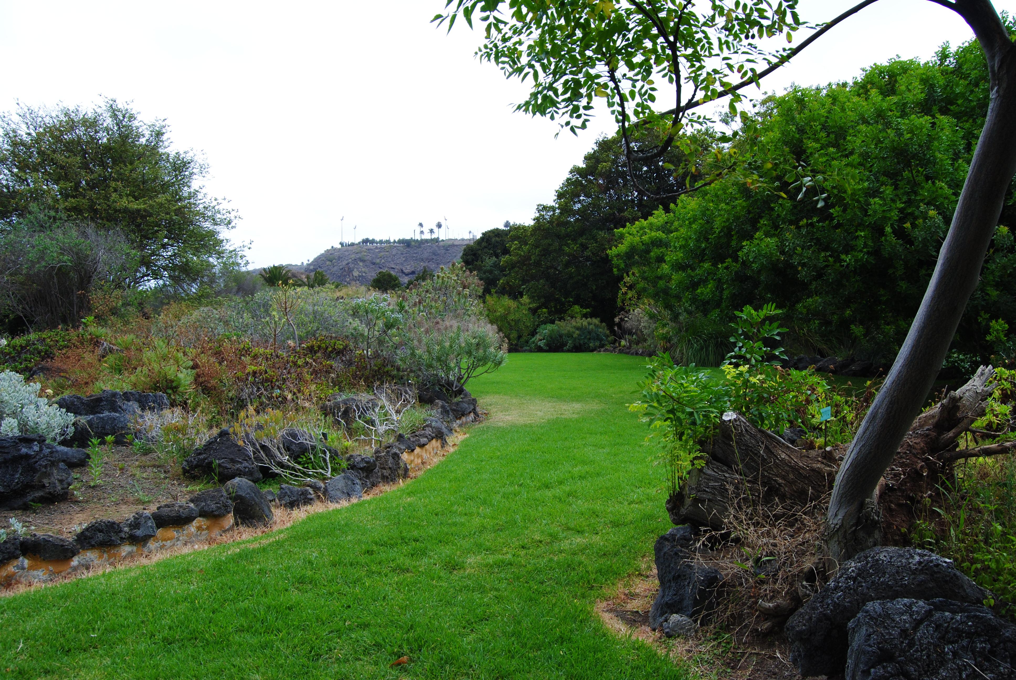 Jardín Botánico Viera y Clavijo (Jardín Canario), por TheWarmSide
