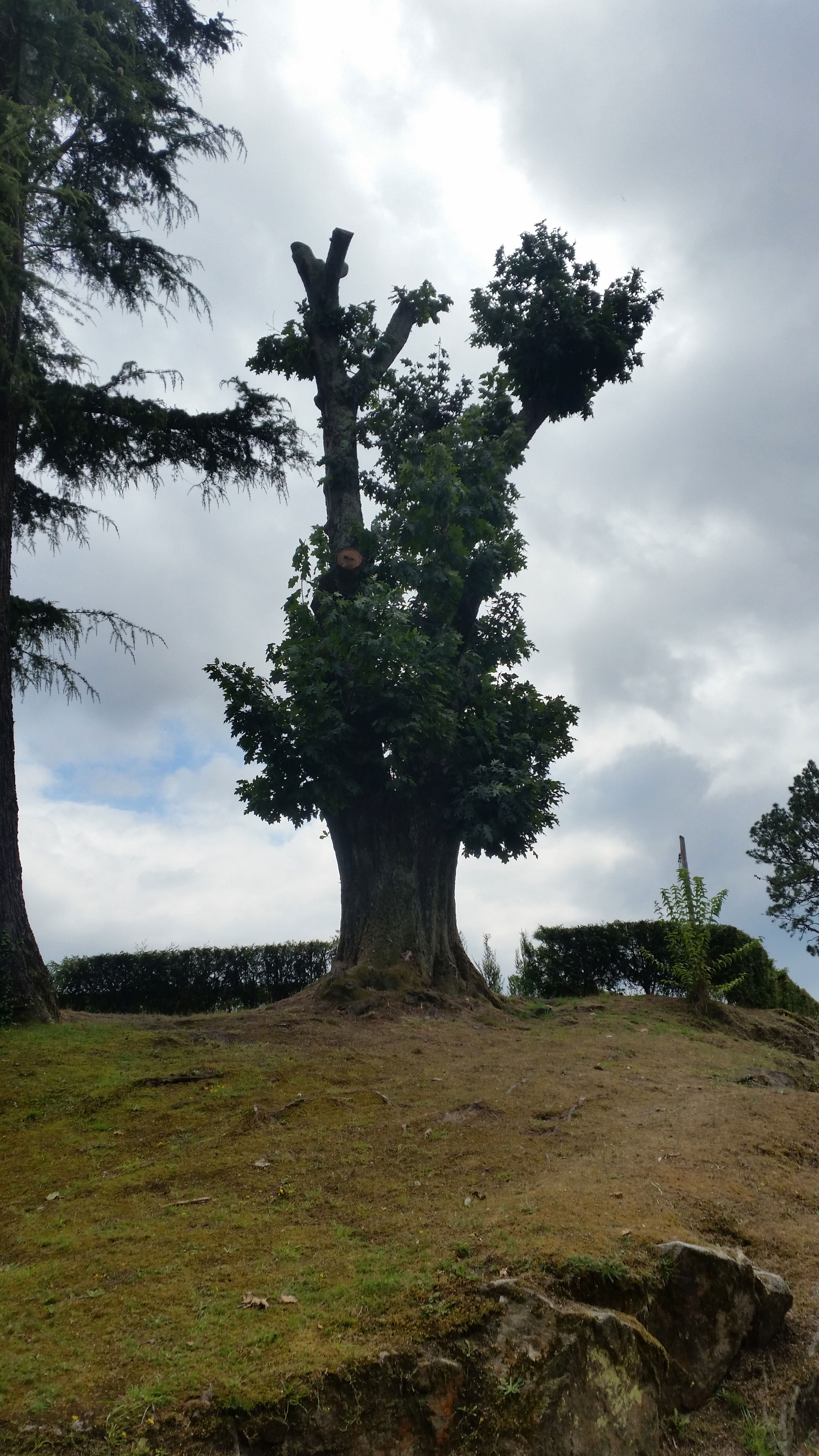 Entretenimiento en Vigo: descubre los lugares más divertidos y únicos