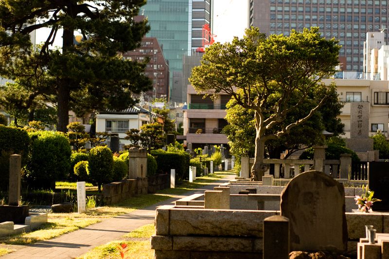 Cementerio Aoyama, por Sebastian Muñoz