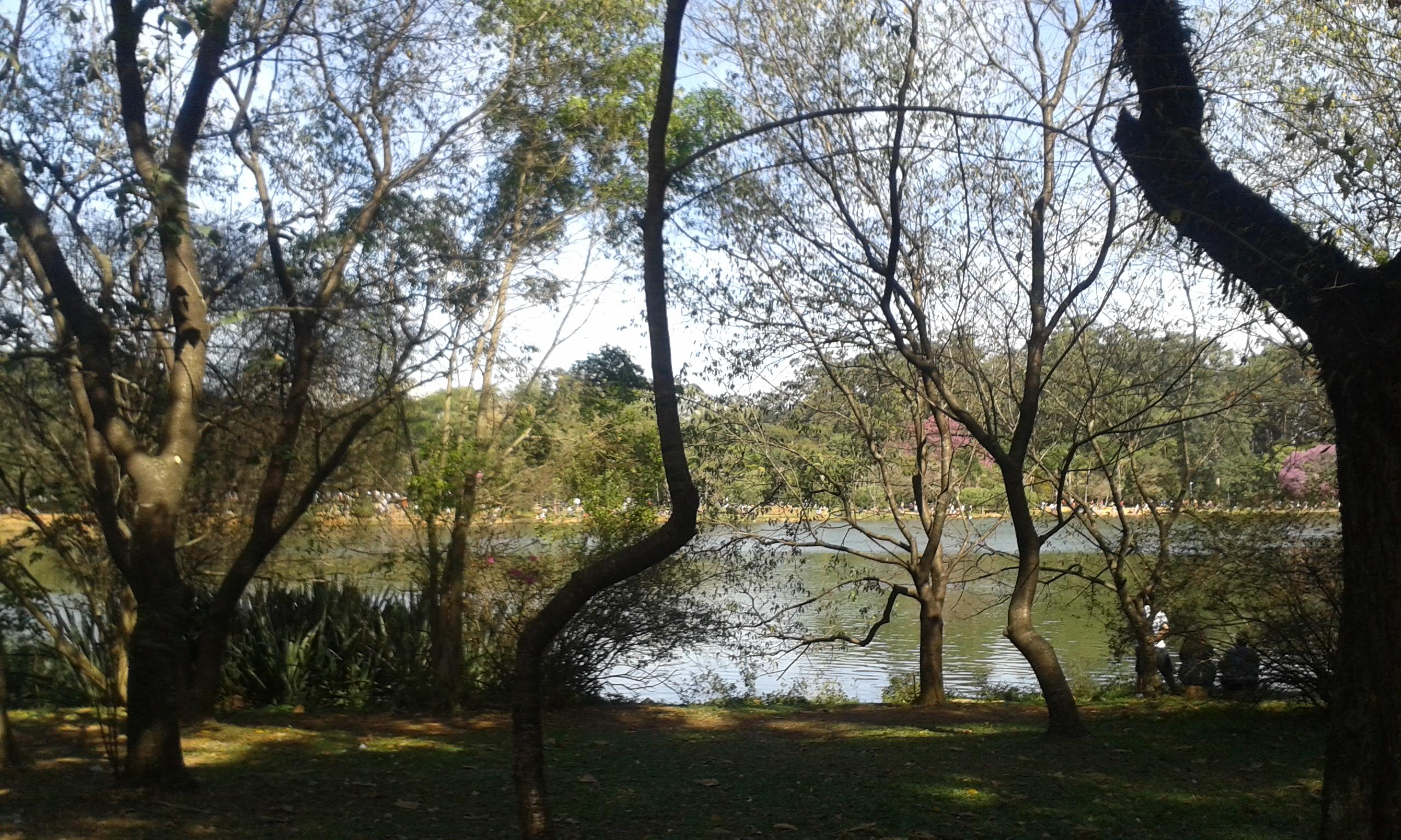 Lago do Parque Ibirapuera, por Adrielle Rúpolo
