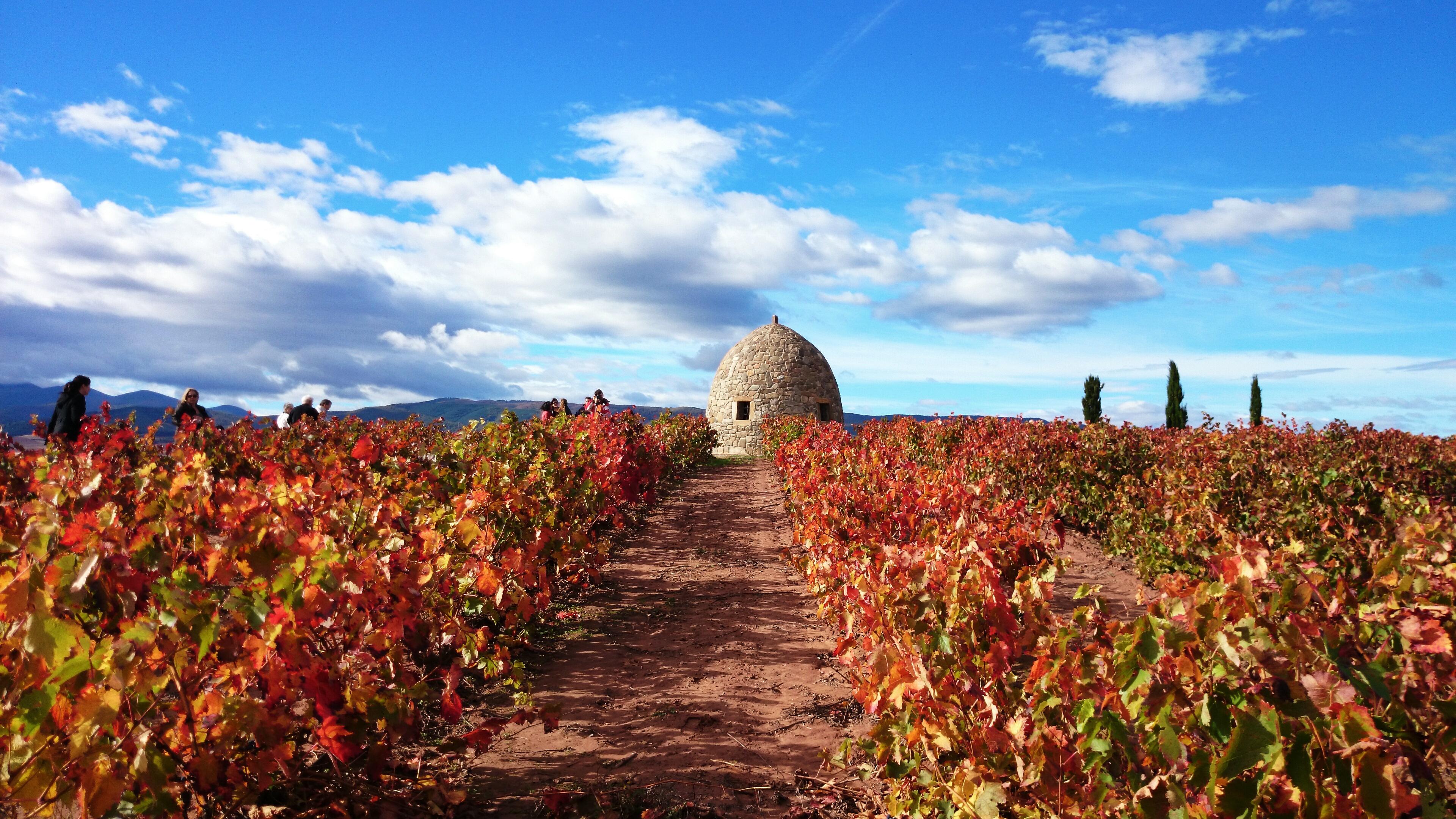 Otoño en La Rioja: Un viaje por 13 bodegas que te enamorarán.