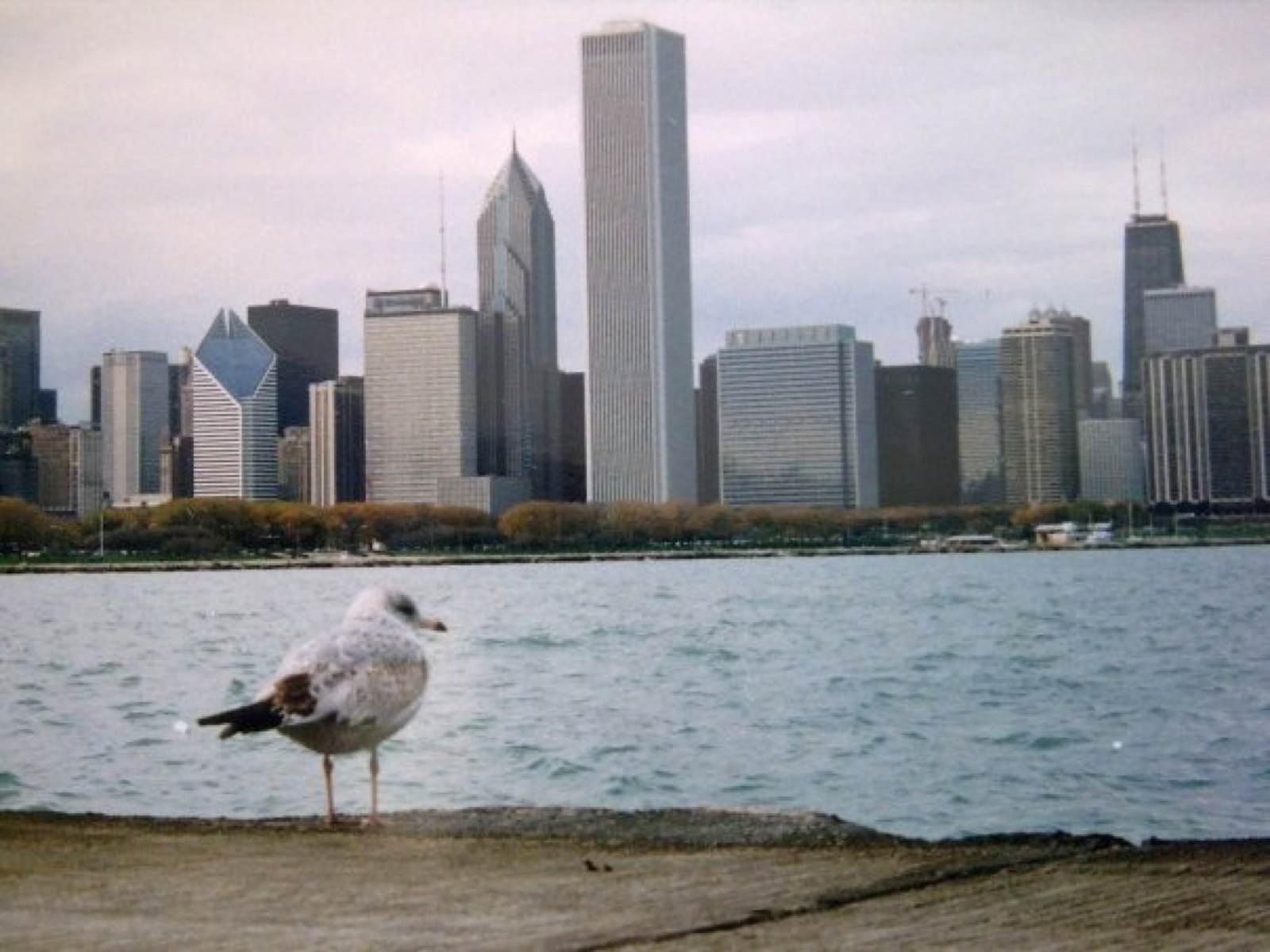 Playas en Chicago que debes explorar para disfrutar del verano