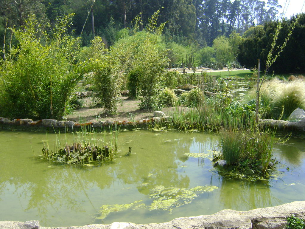 Jardín Botánico Nacional, por Vengative